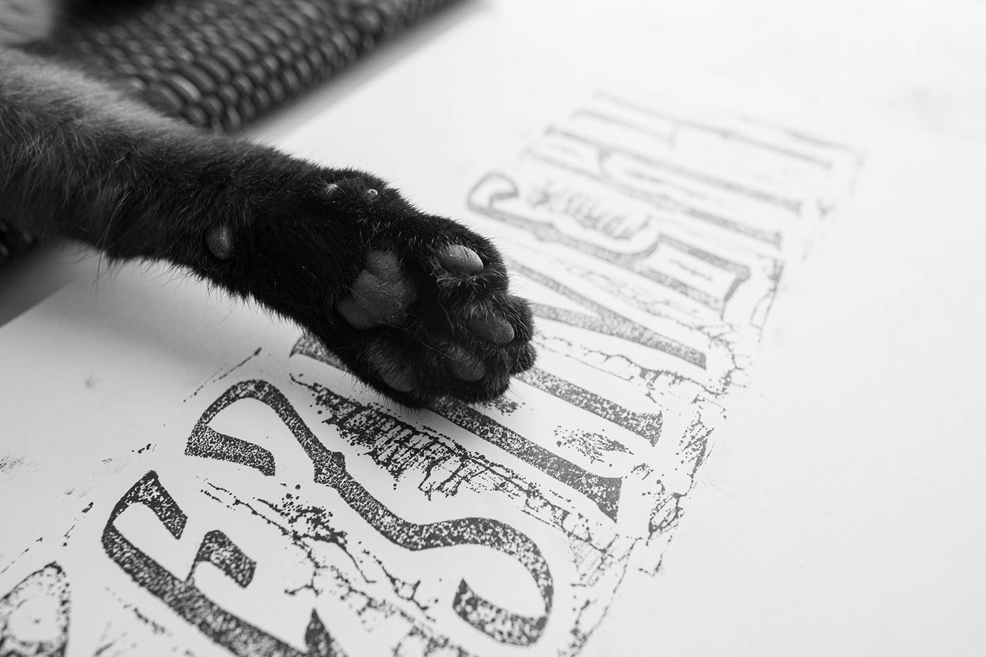 Шрифт «Резнович» — Изображение №9 — Иллюстрация, Графика на Dprofile