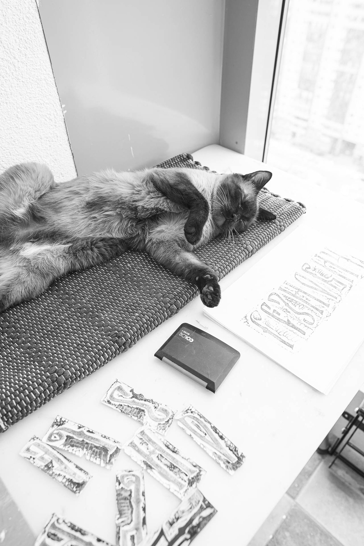 Шрифт «Резнович» — Изображение №7 — Иллюстрация, Графика на Dprofile