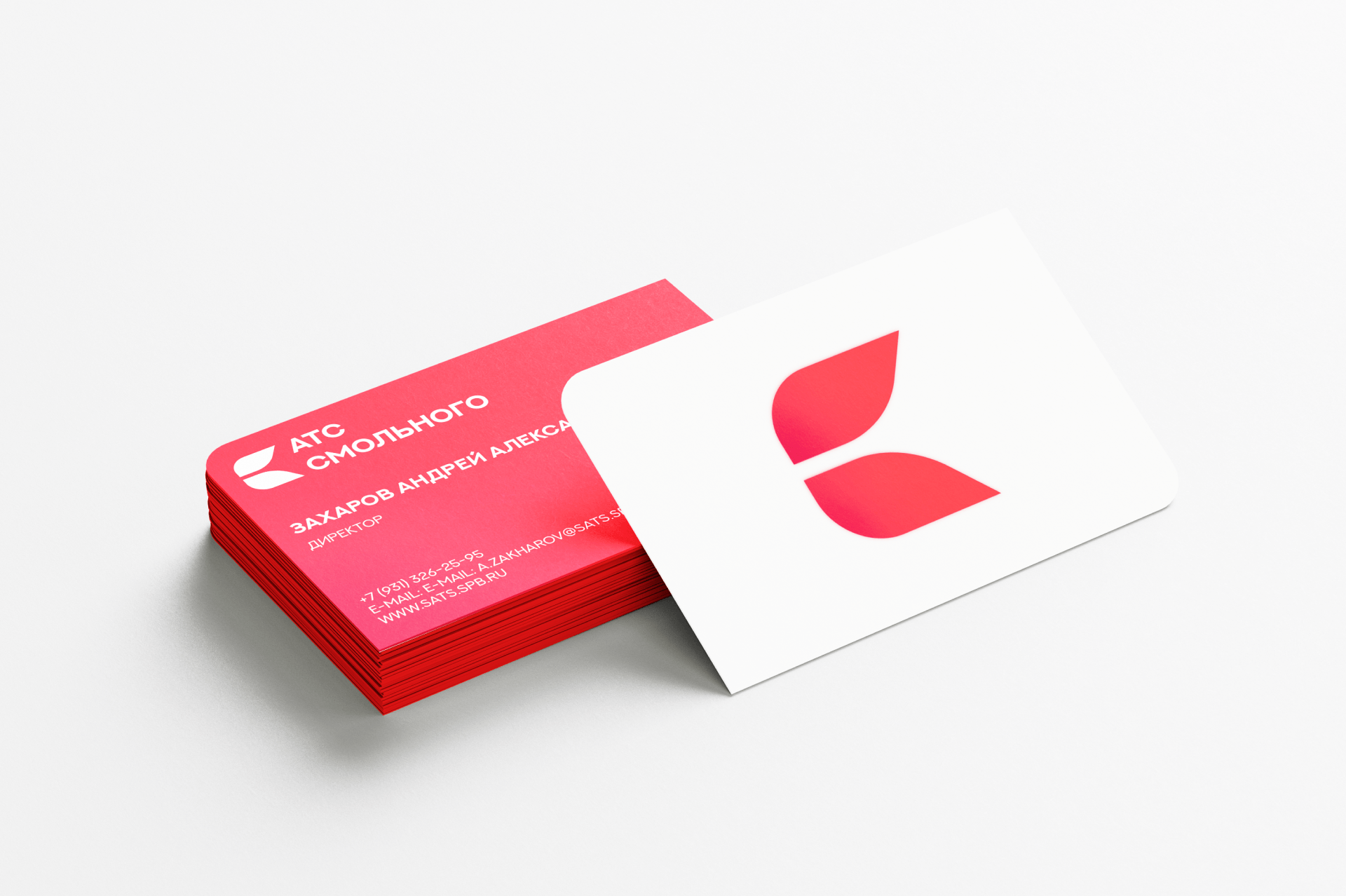 Smolny ATE — Изображение №6 — Брендинг на Dprofile