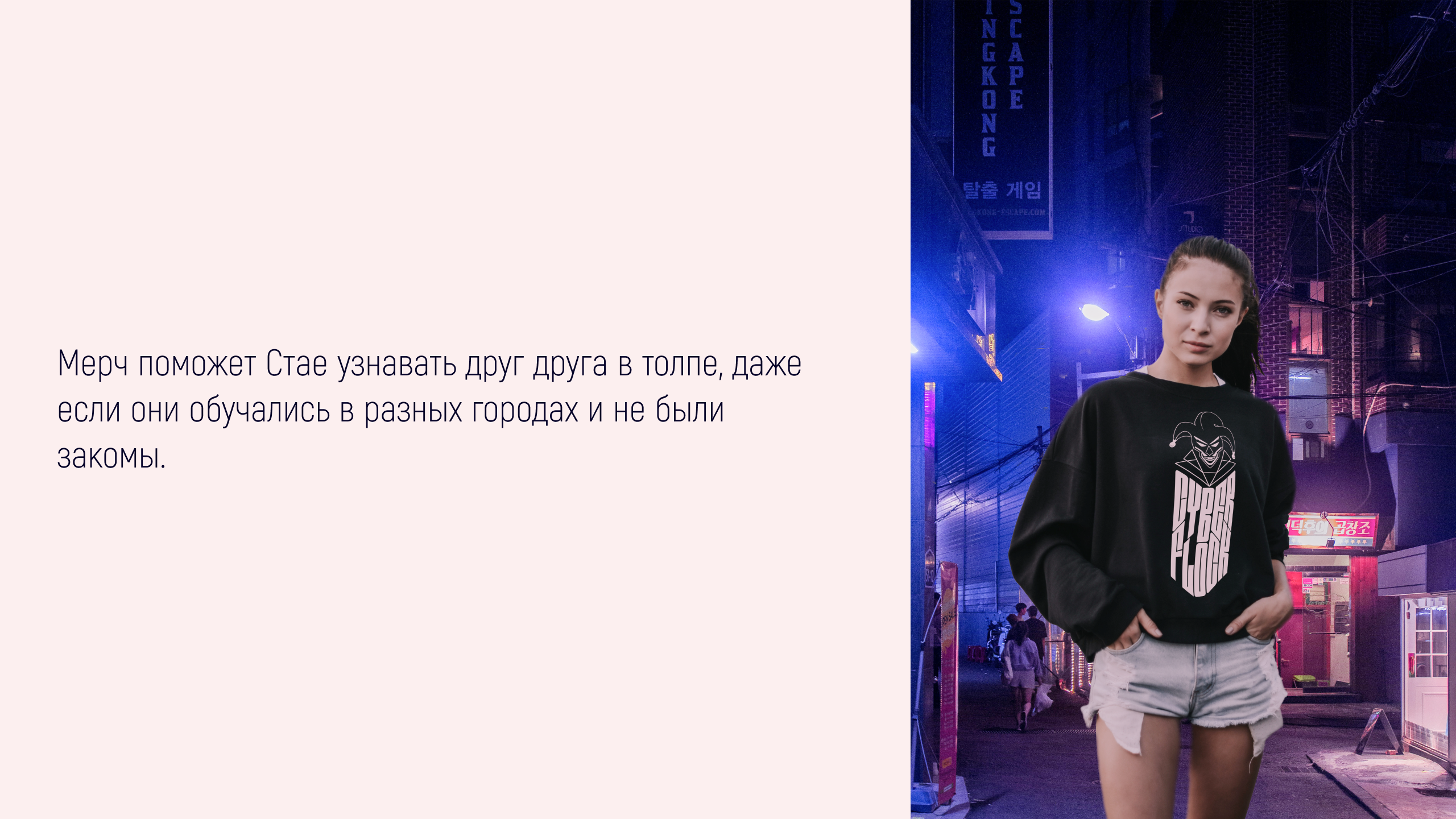 Мерч для Cyber Flock — Изображение №9 — Брендинг на Dprofile