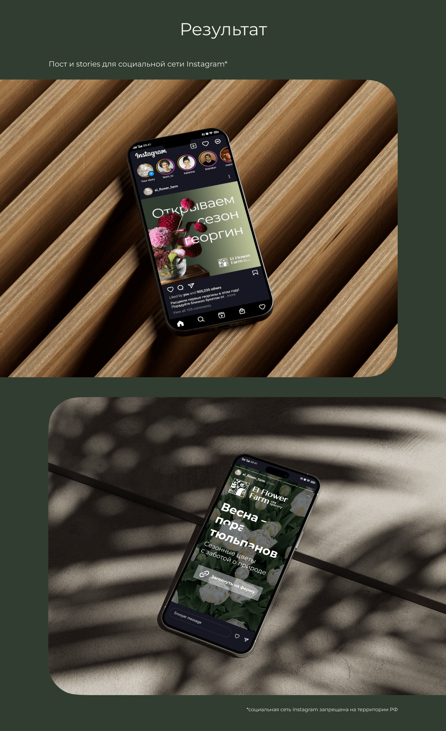 Рекламные баннеры и посты для соцсетей для цветочной фермы — Изображение №4 — Маркетинг на Dprofile