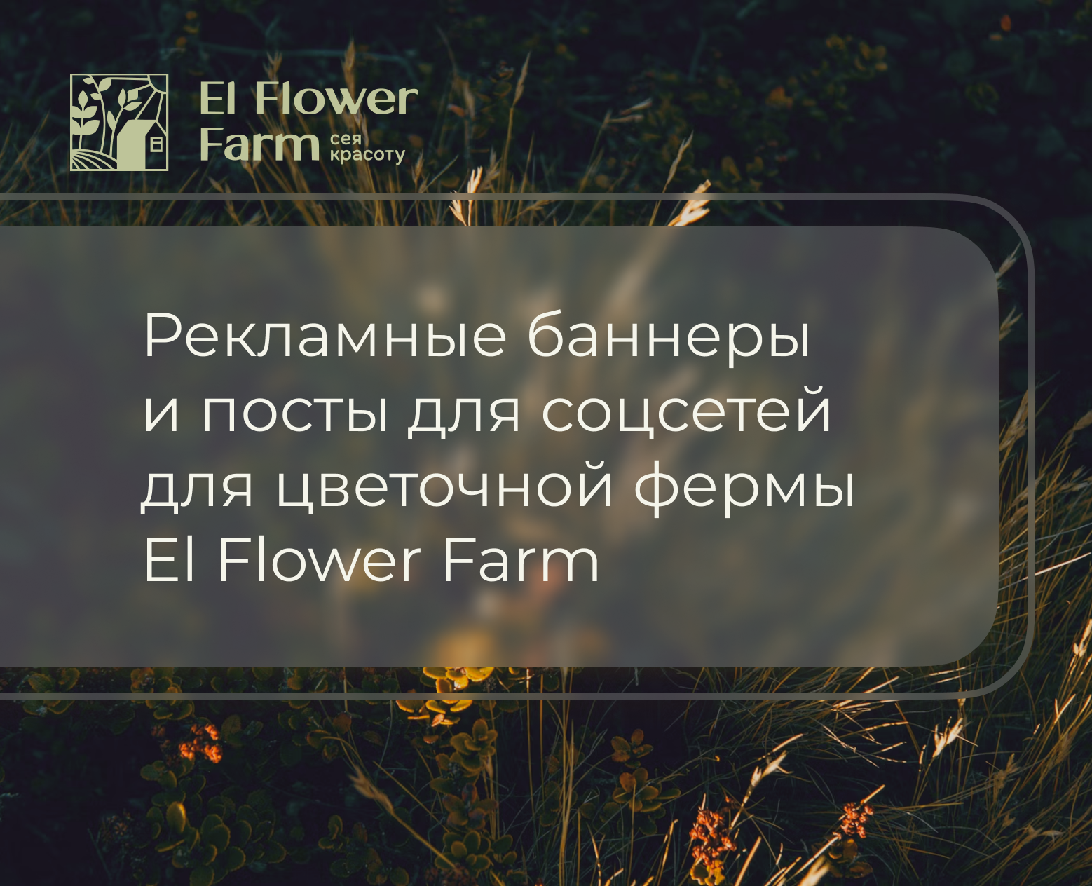 Рекламные баннеры и посты для соцсетей для цветочной фермы — Маркетинг на Dprofile