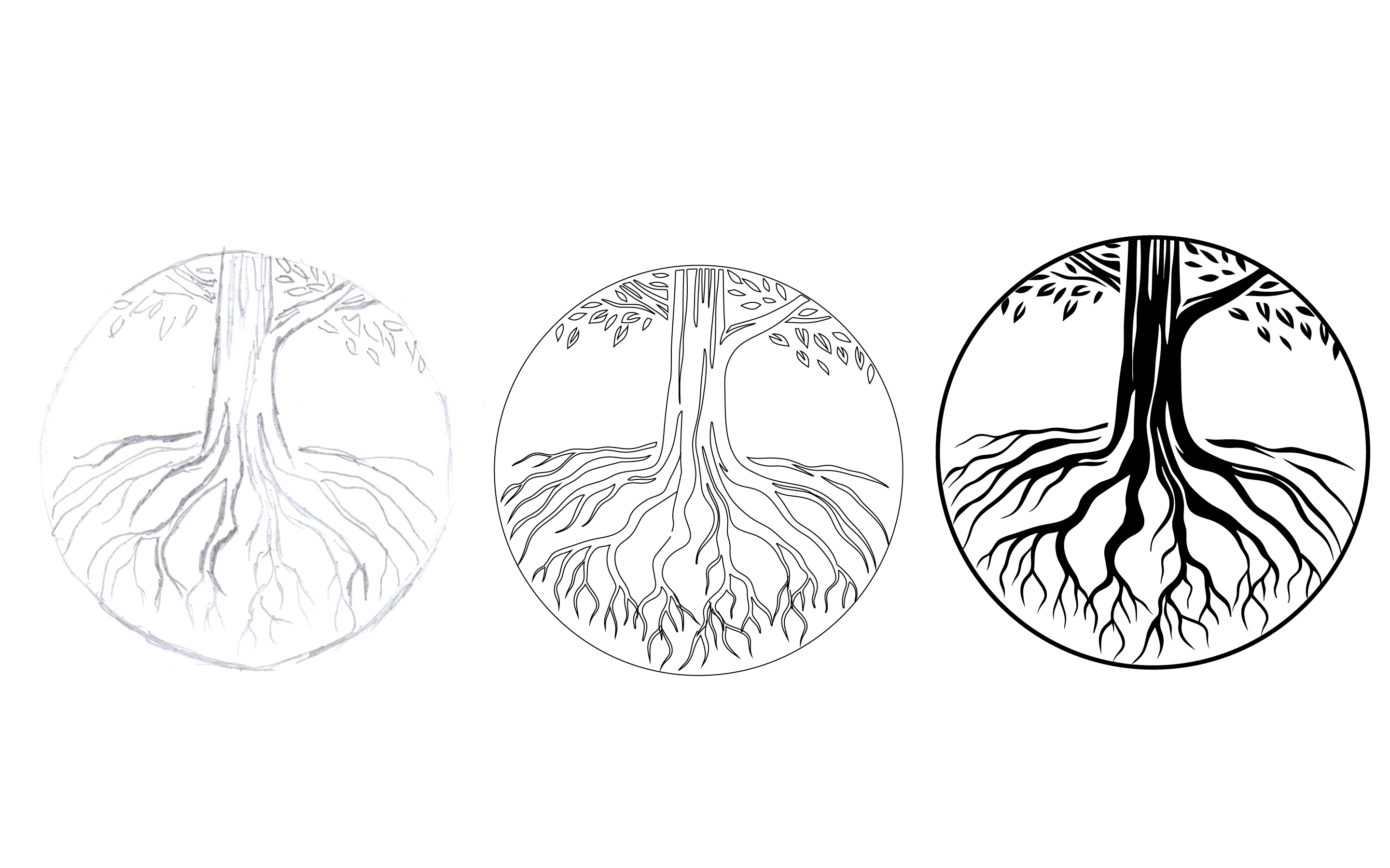 Rustic Roots – Айдентика для ресторана домашней кухни — Изображение №2 — Брендинг на Dprofile
