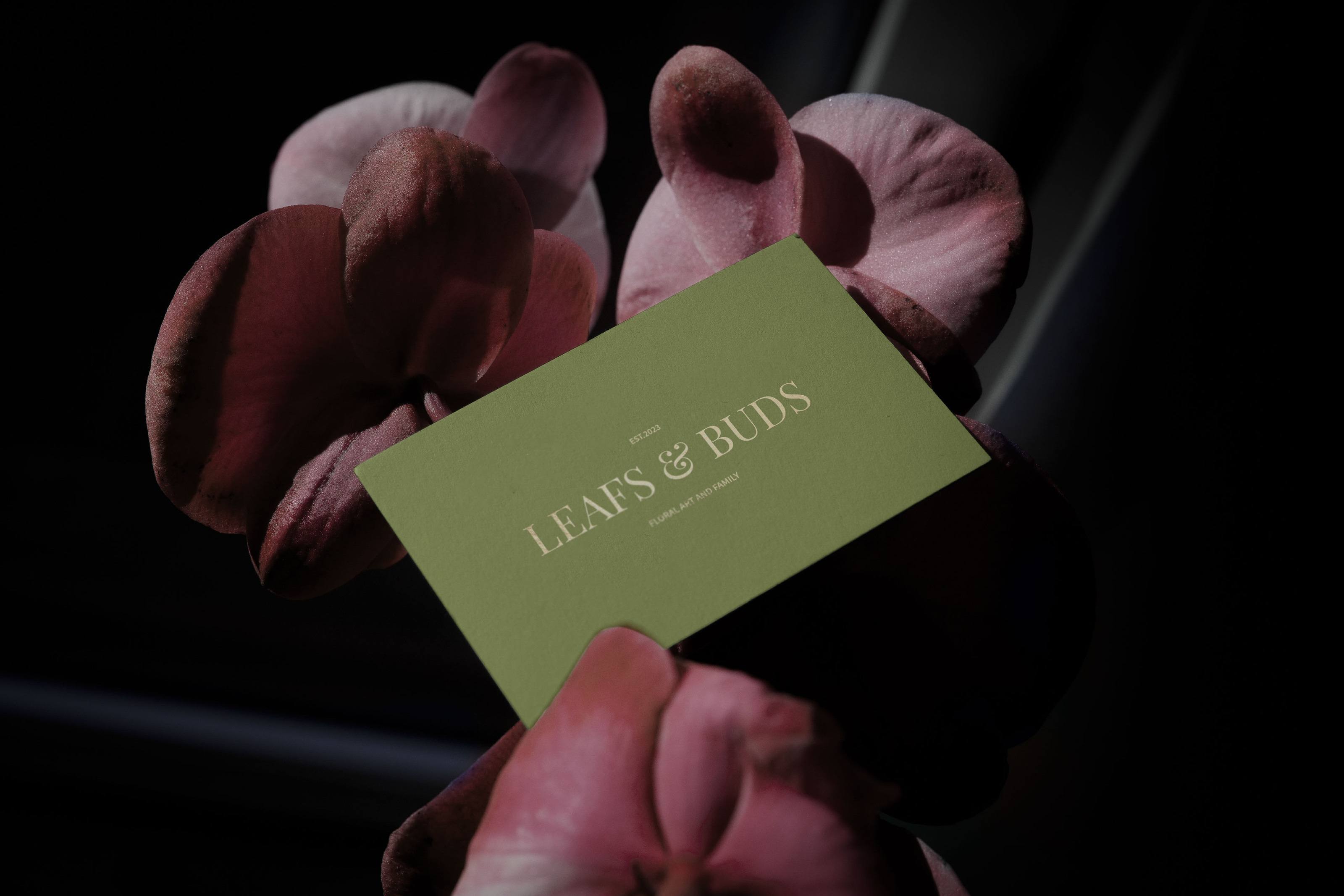 FLOWER STUDIO LEAFT & BUD — Изображение №14 — Брендинг, Анимация на Dprofile