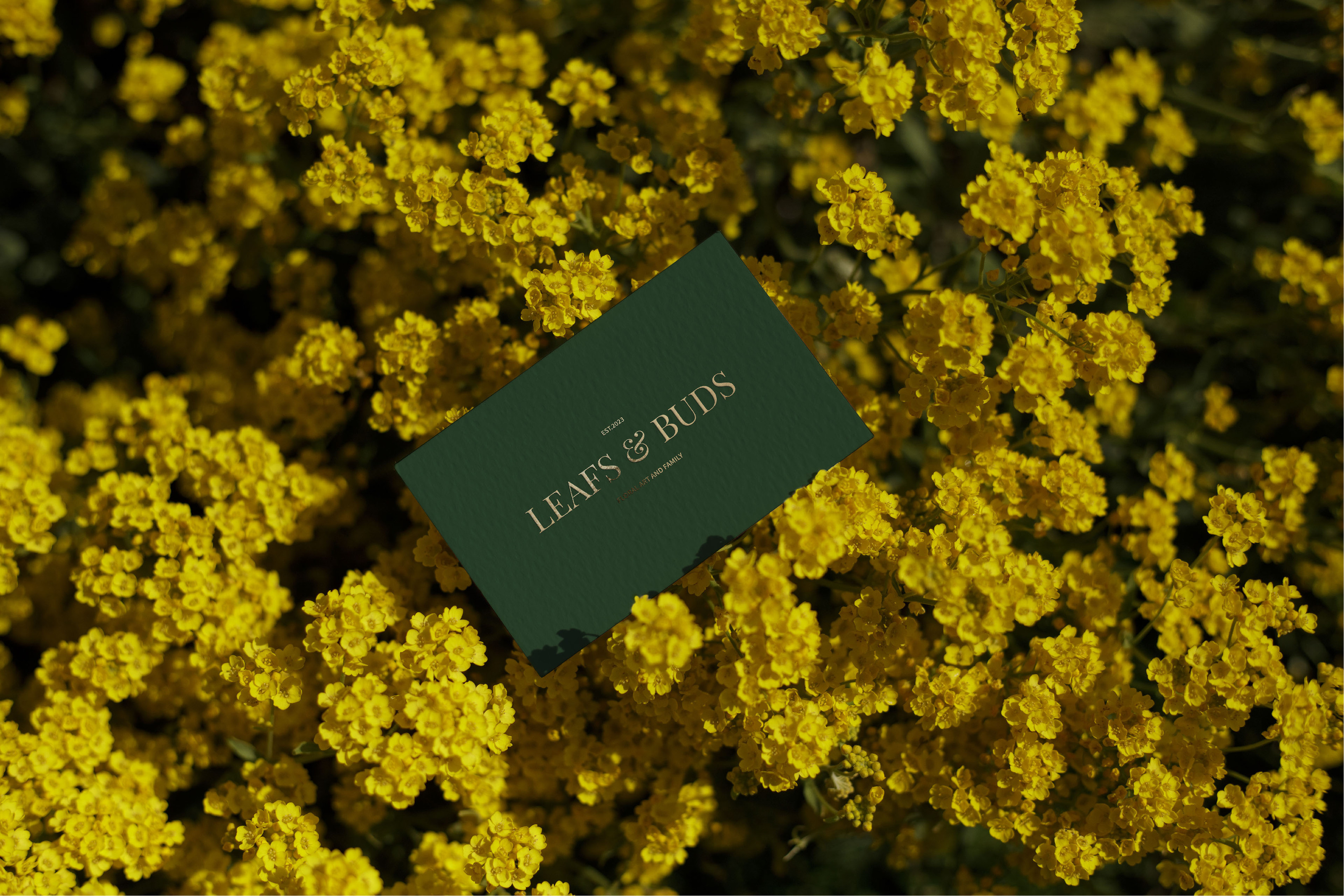 FLOWER STUDIO LEAFT & BUD — Изображение №4 — Брендинг, Анимация на Dprofile