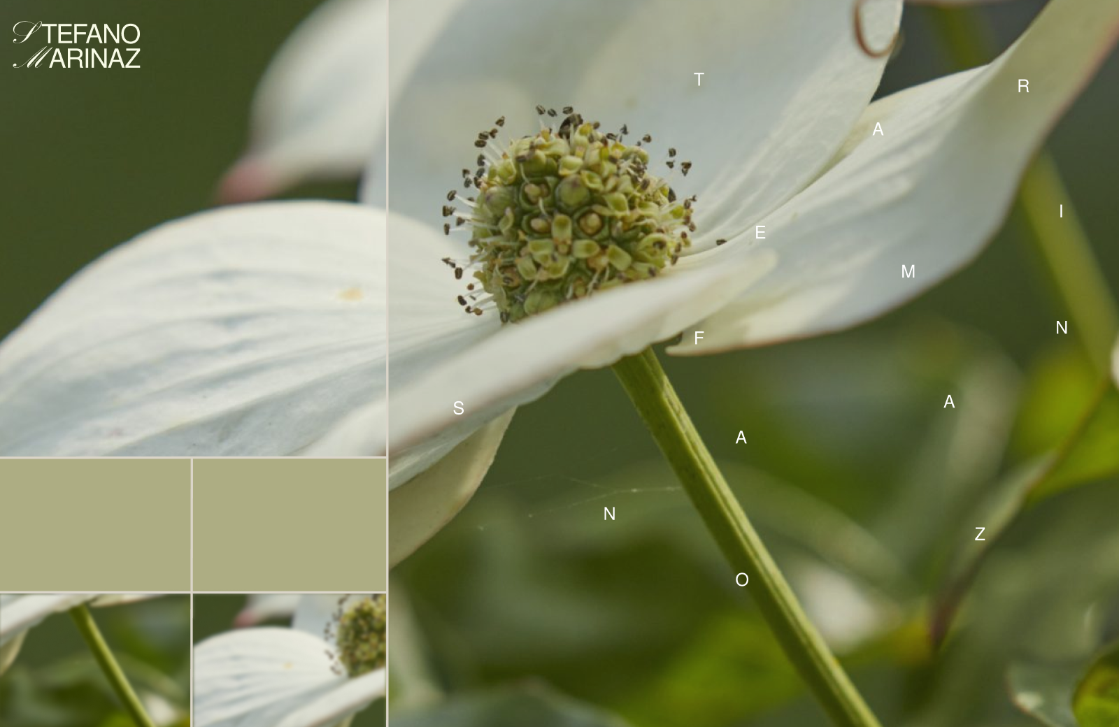 Landscape Architecture SM | Corporate Website redesign — Изображение №8 — Интерфейсы на Dprofile