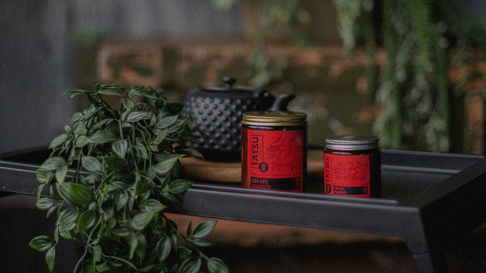 TATSU Candles / айдентика для бренда свечей — Изображение №1 — Брендинг, Графика на Dprofile