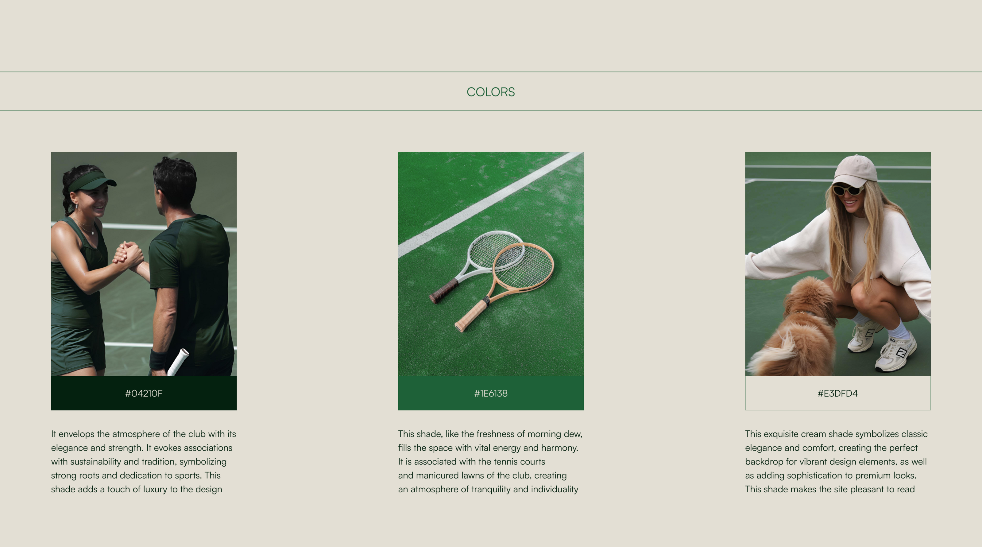Tennis club CELESTRIA — Изображение №8 — Интерфейсы на Dprofile