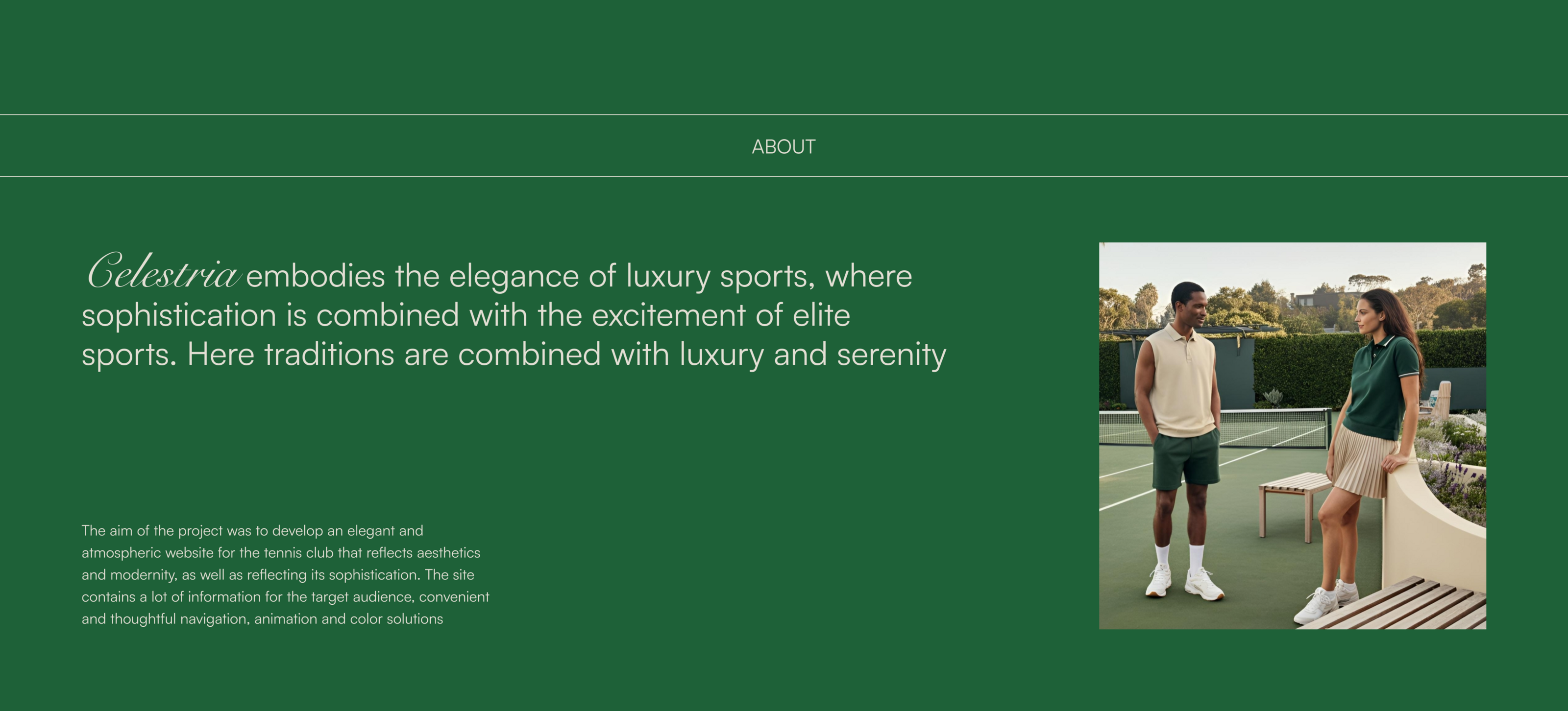 Tennis club CELESTRIA — Изображение №2 — Интерфейсы на Dprofile