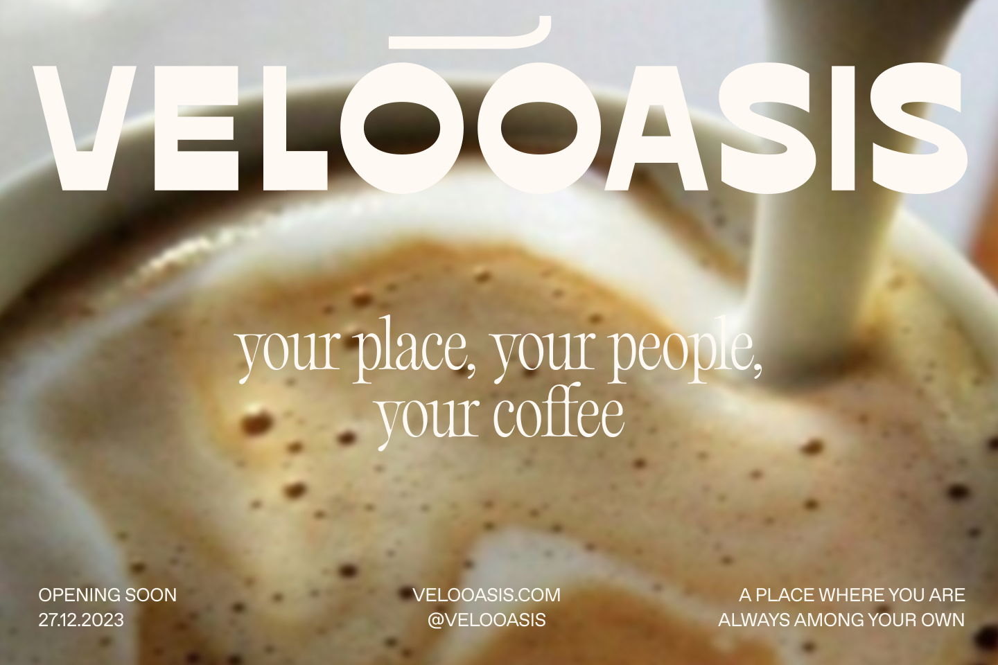 VELOOASIS CAFE — Изображение №1 — Брендинг, Графика на Dprofile