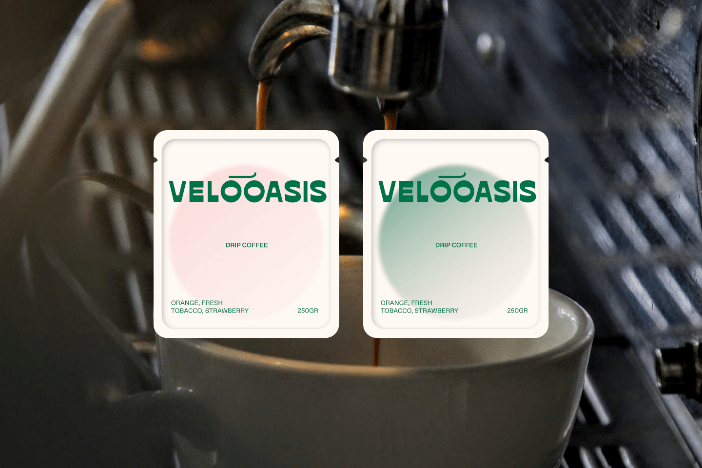 VELOOASIS CAFE — Изображение №18 — Брендинг, Графика на Dprofile