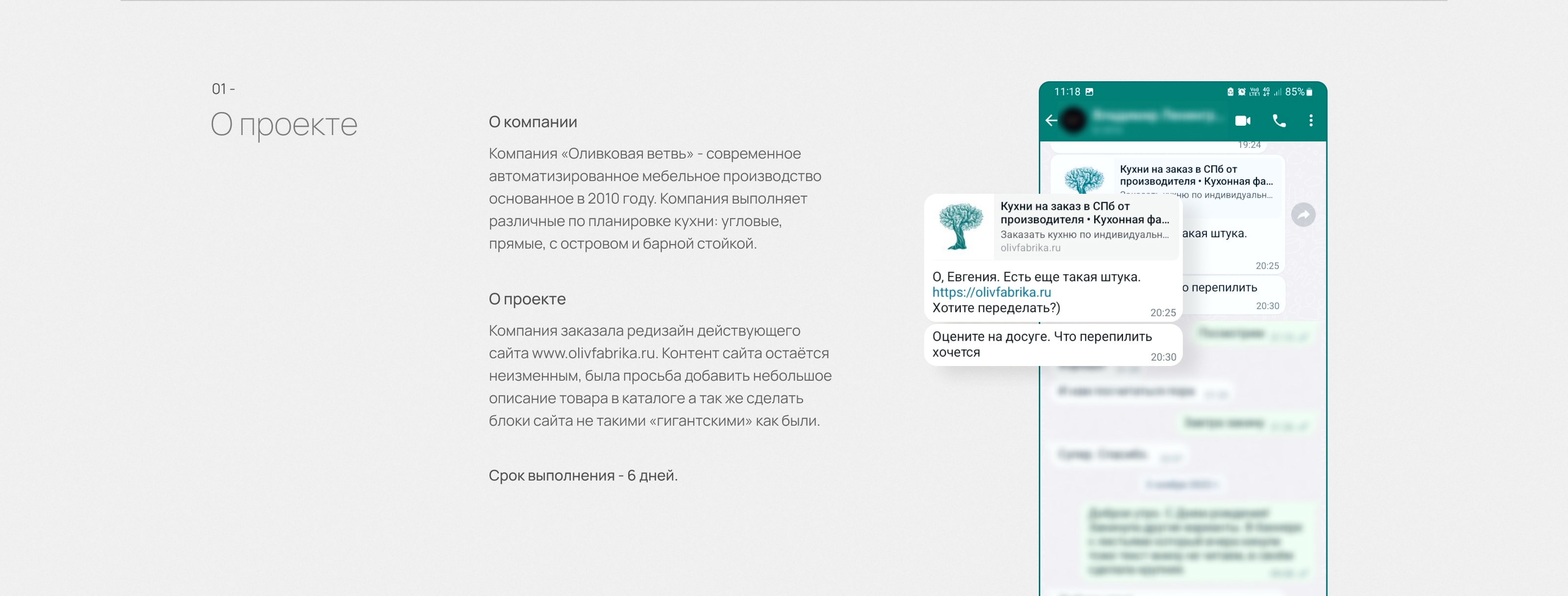 Редизайн сайта кухонной фабрики "Оливковая ветвь". — Изображение №2 — Интерфейсы на Dprofile