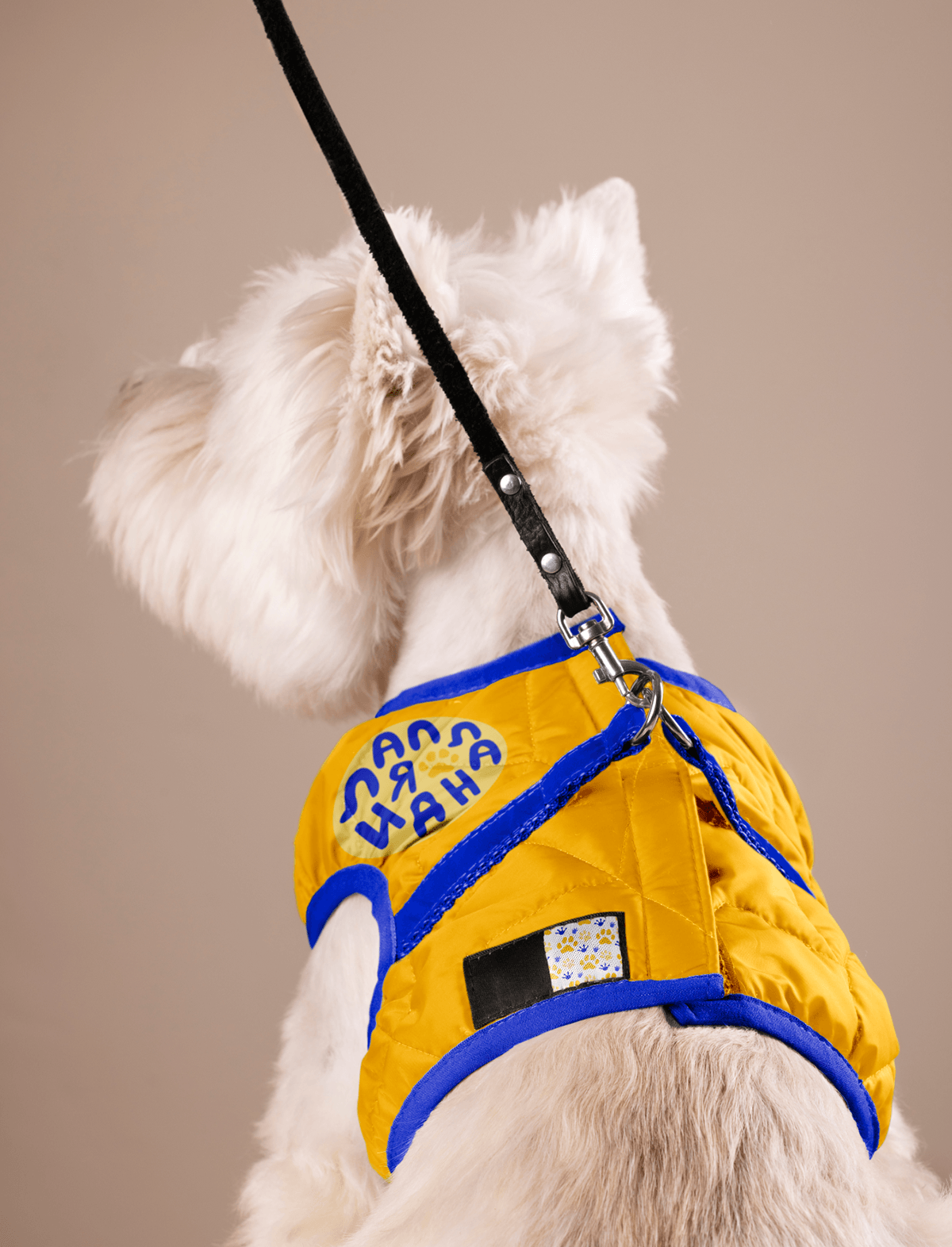 PET DAYCARE | IDENTITY | LOGO | LANDING PAGE — Изображение №15 — Брендинг на Dprofile