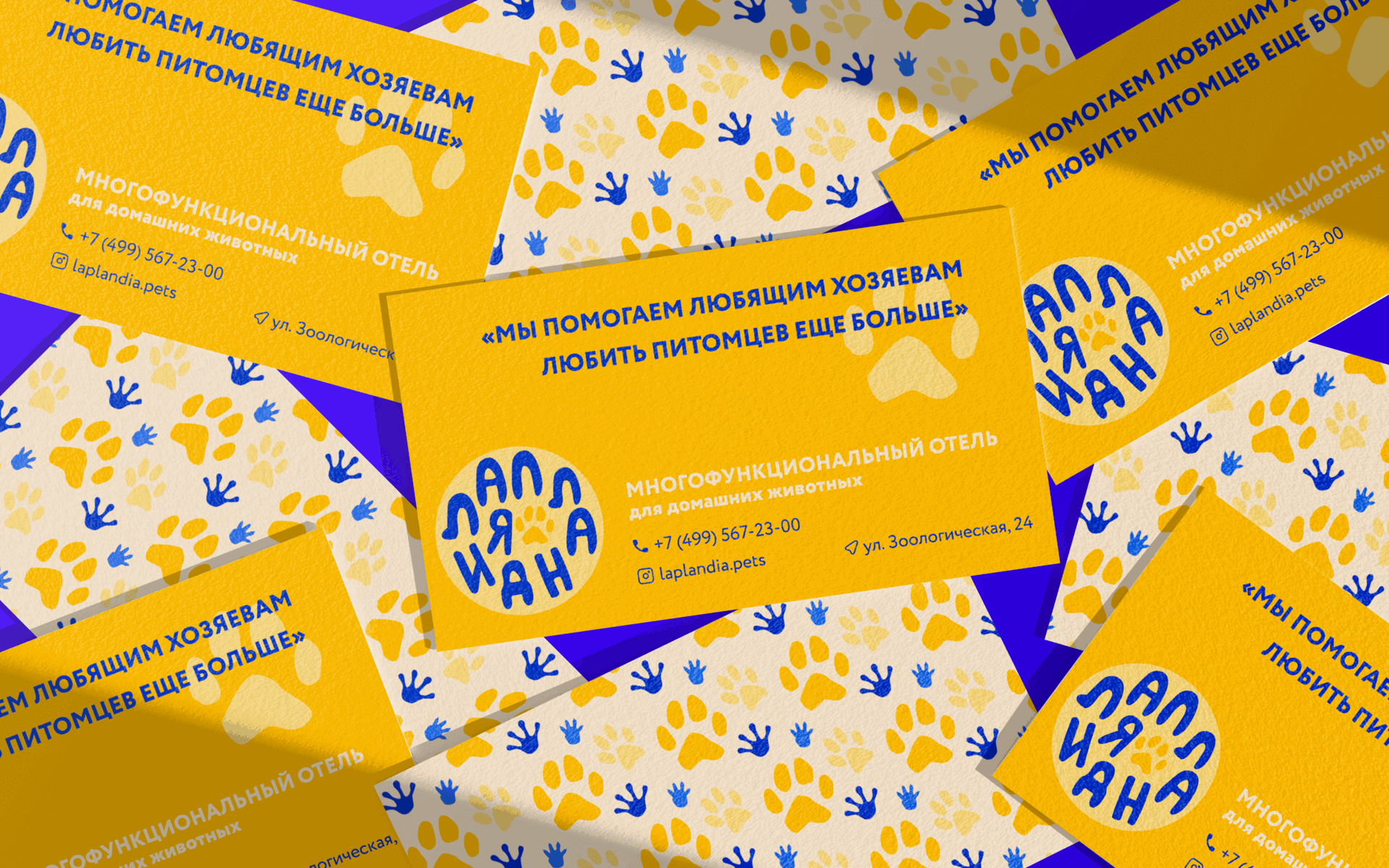 PET DAYCARE | IDENTITY | LOGO | LANDING PAGE — Изображение №2 — Брендинг на Dprofile