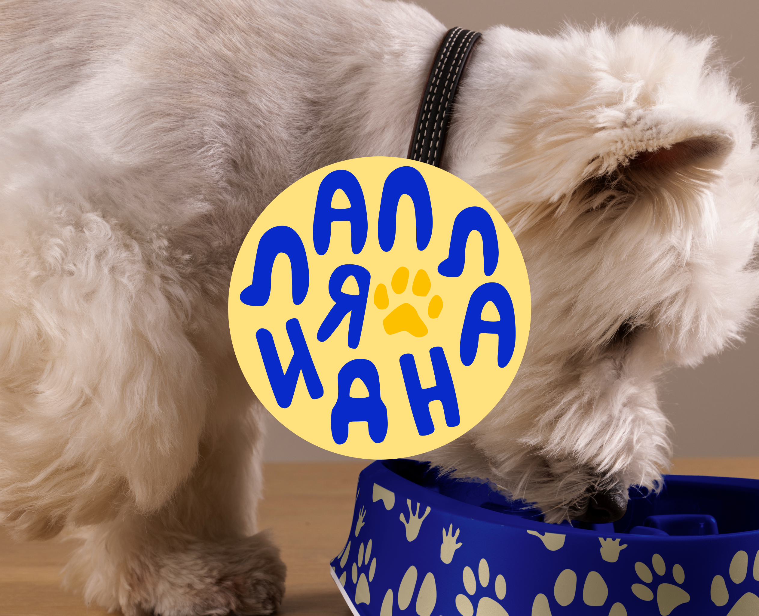 PET DAYCARE | IDENTITY | LOGO | LANDING PAGE — Брендинг на Dprofile