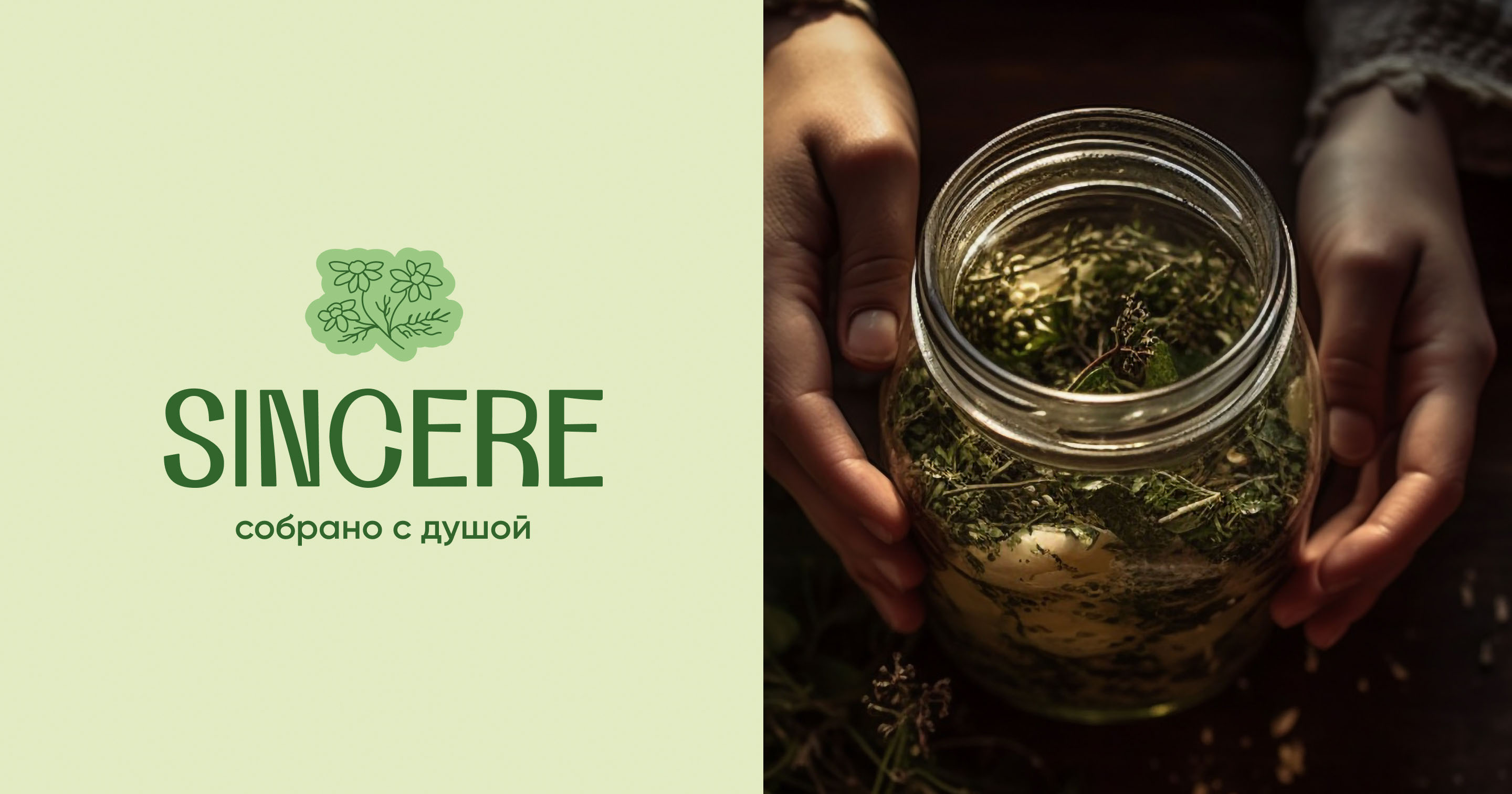 Sincere | Фирменный стиль для бренда чая — Изображение №2 — Брендинг на Dprofile
