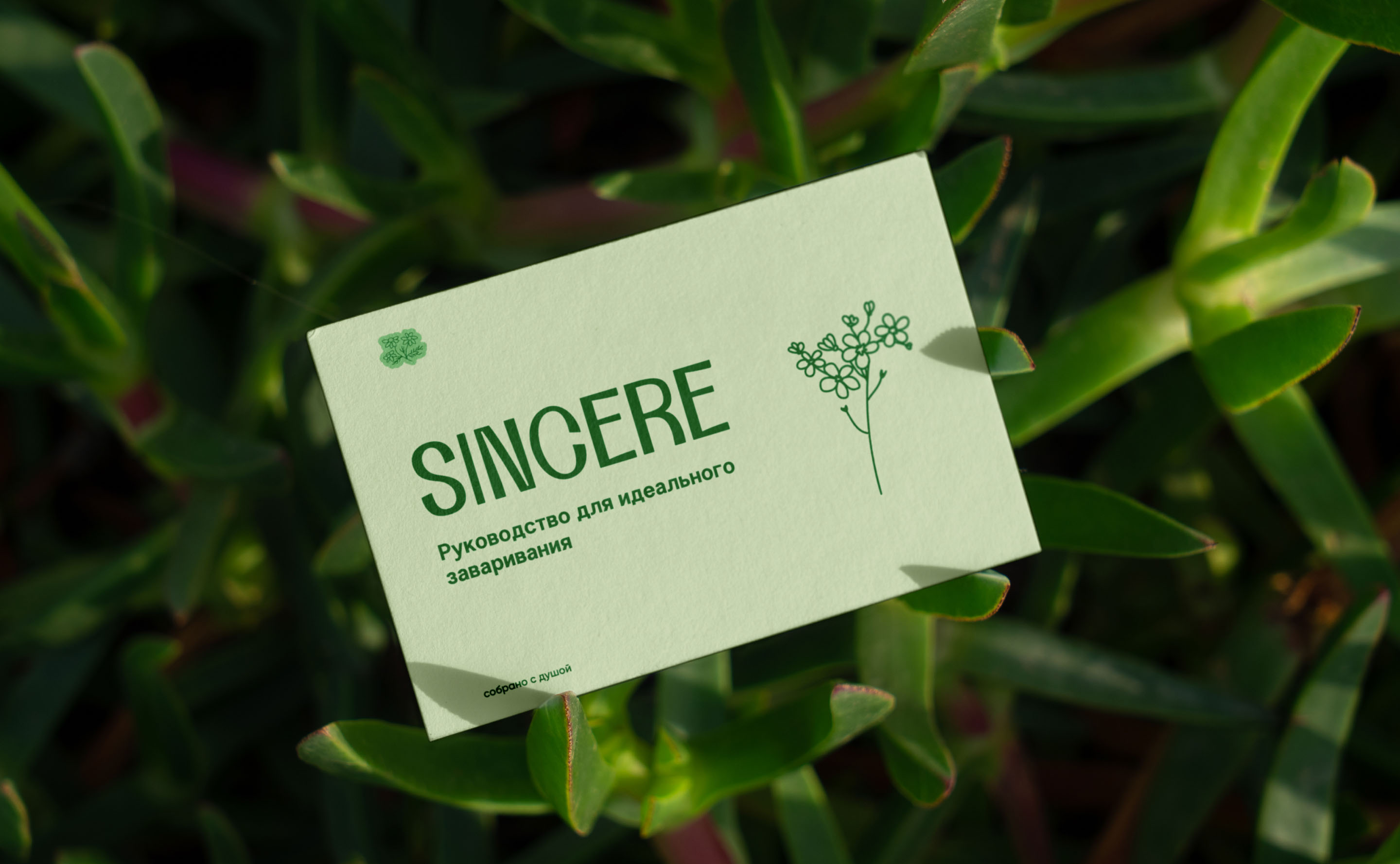 Sincere | Фирменный стиль для бренда чая — Изображение №11 — Брендинг на Dprofile