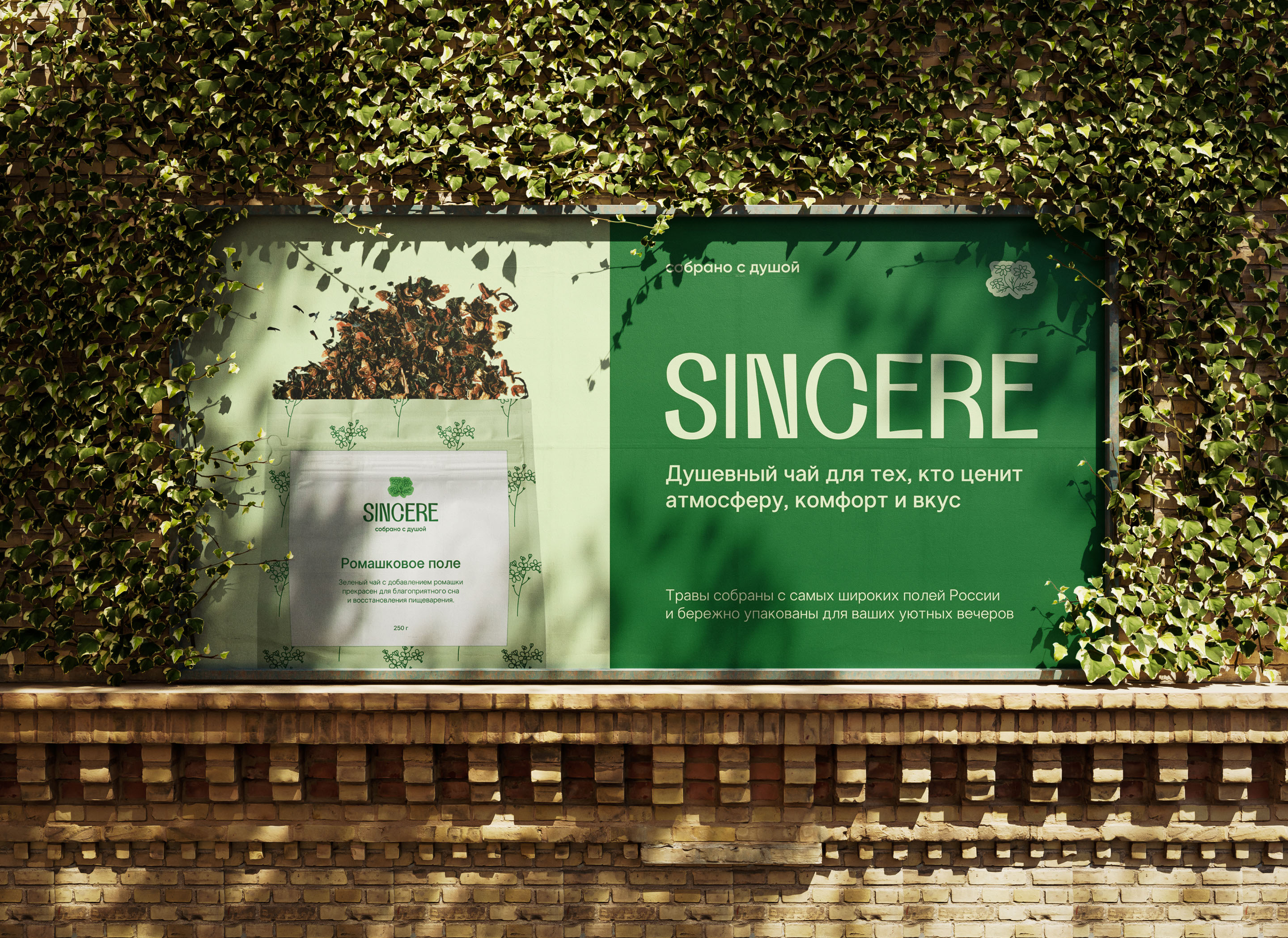 Sincere | Фирменный стиль для бренда чая — Изображение №15 — Брендинг на Dprofile