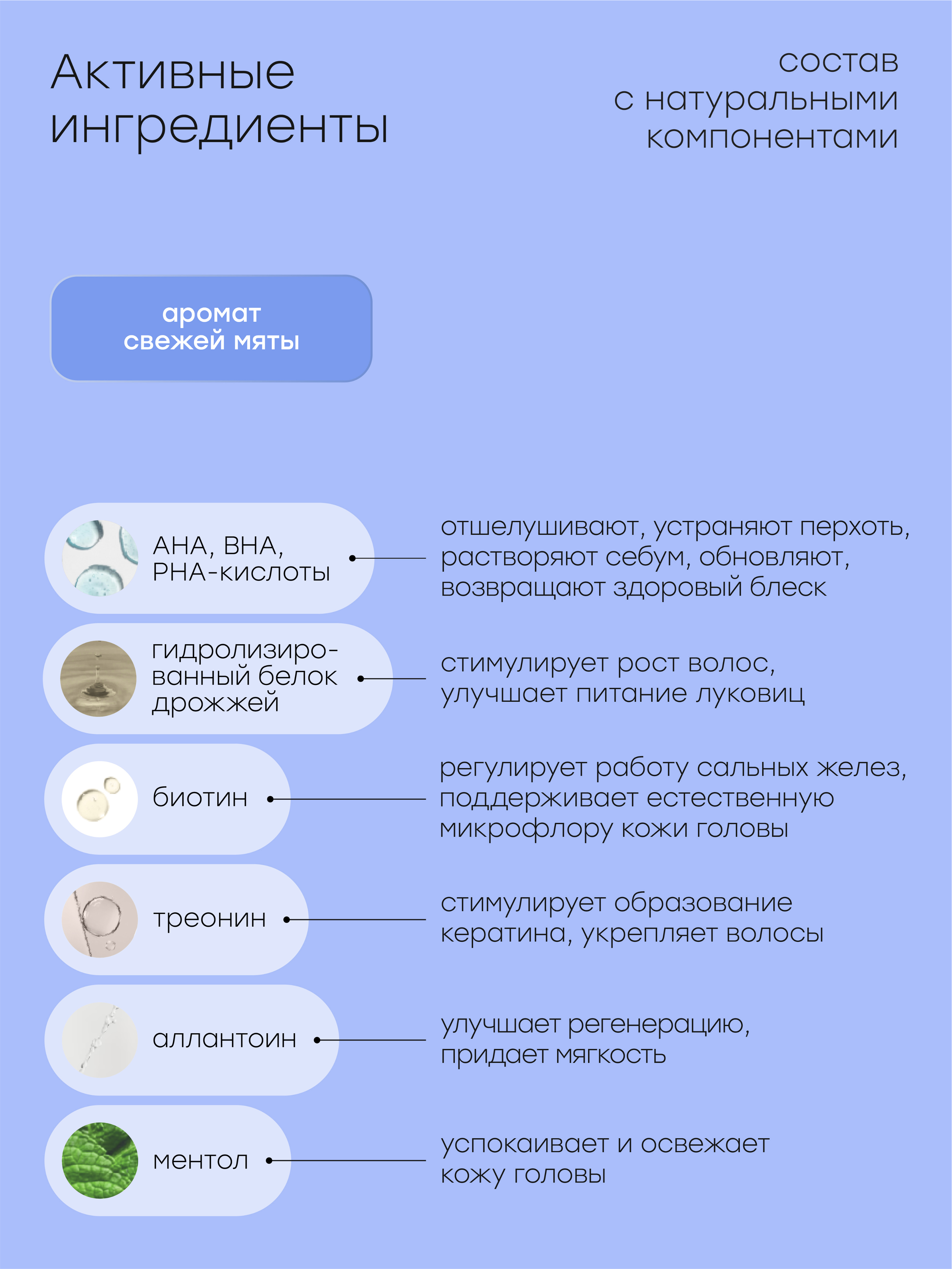 Halsa infographics — Изображение №25 — Графика, Маркетинг на Dprofile