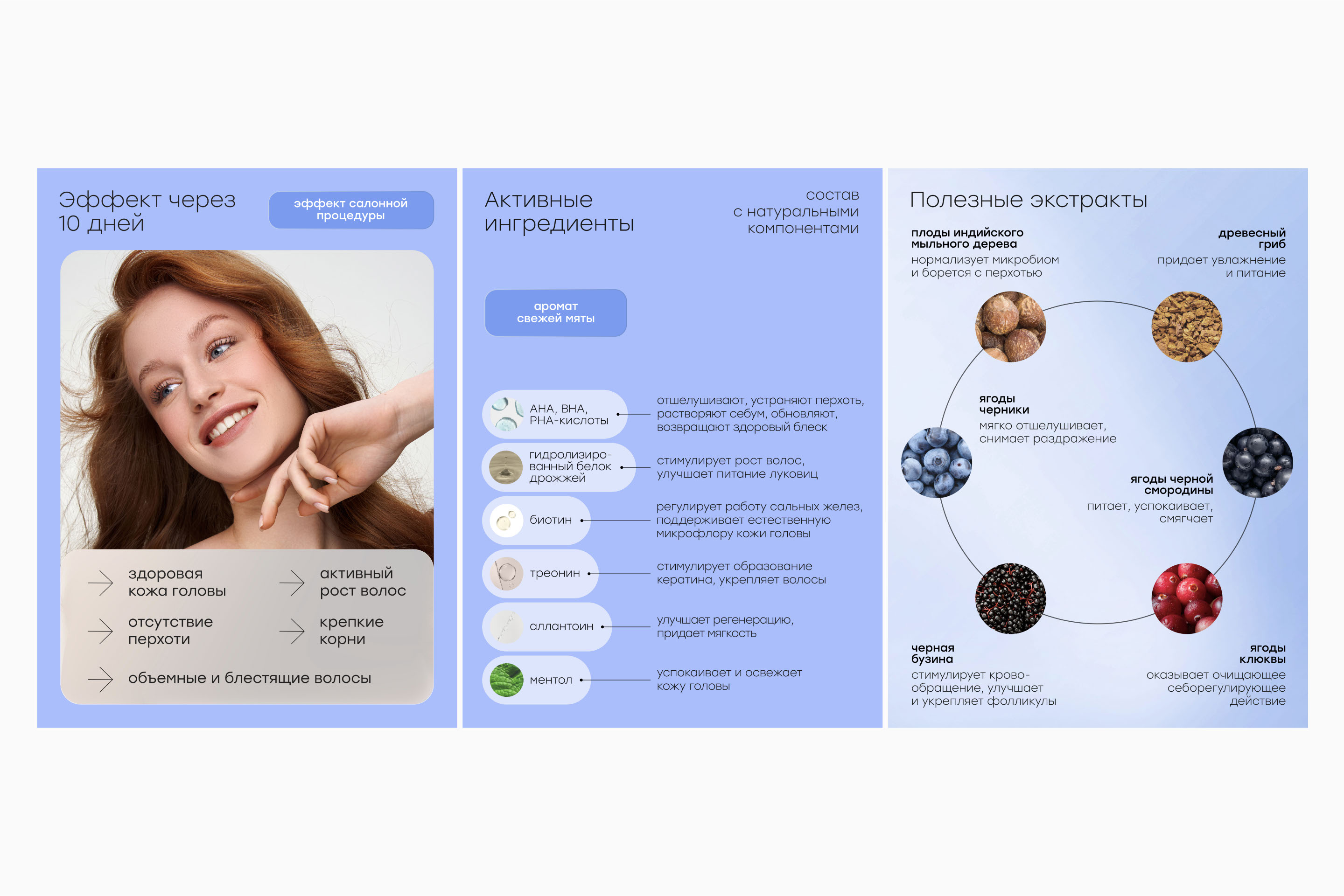 Halsa infographics — Изображение №20 — Графика, Маркетинг на Dprofile