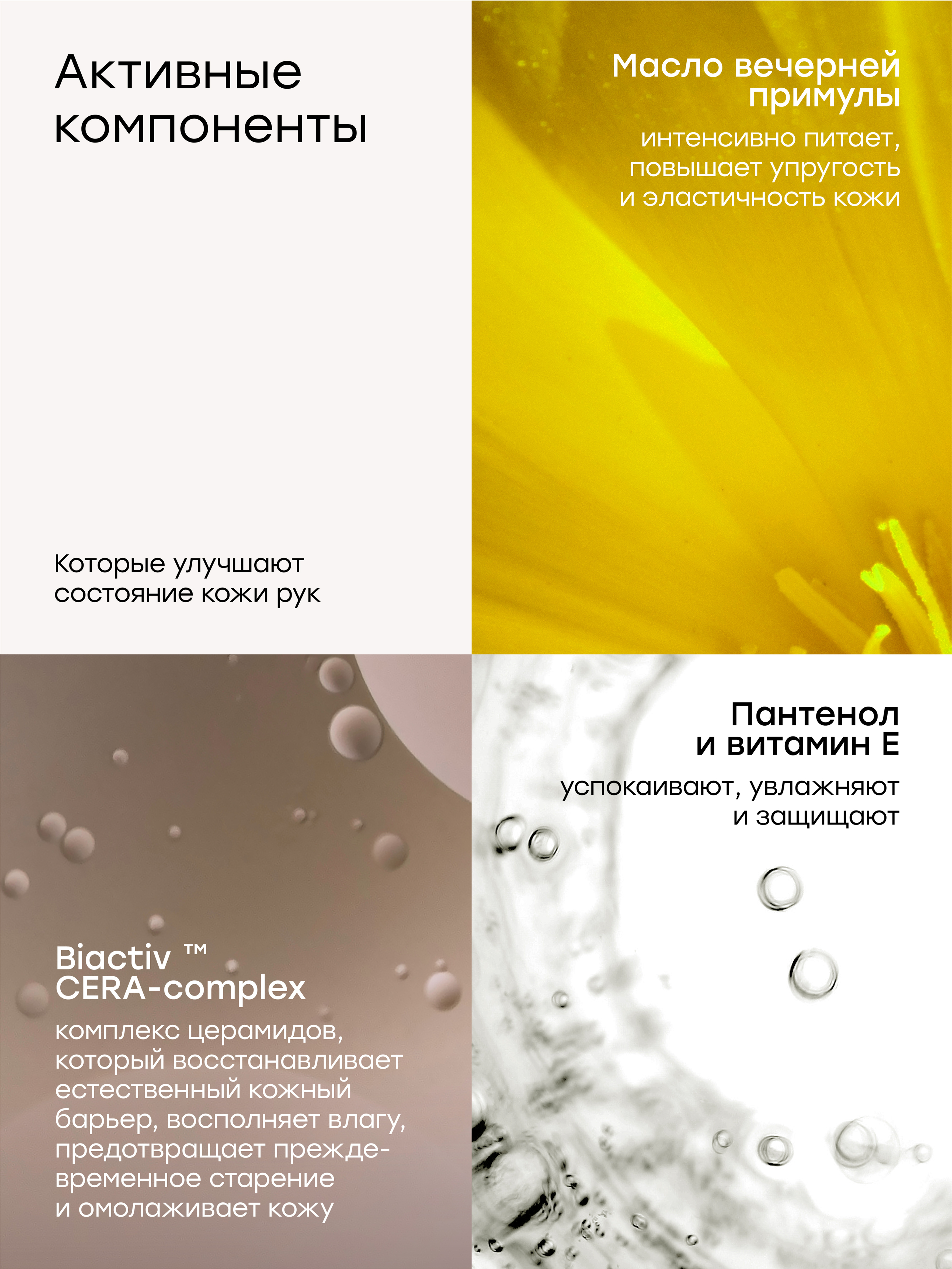 Halsa infographics — Изображение №8 — Графика, Маркетинг на Dprofile