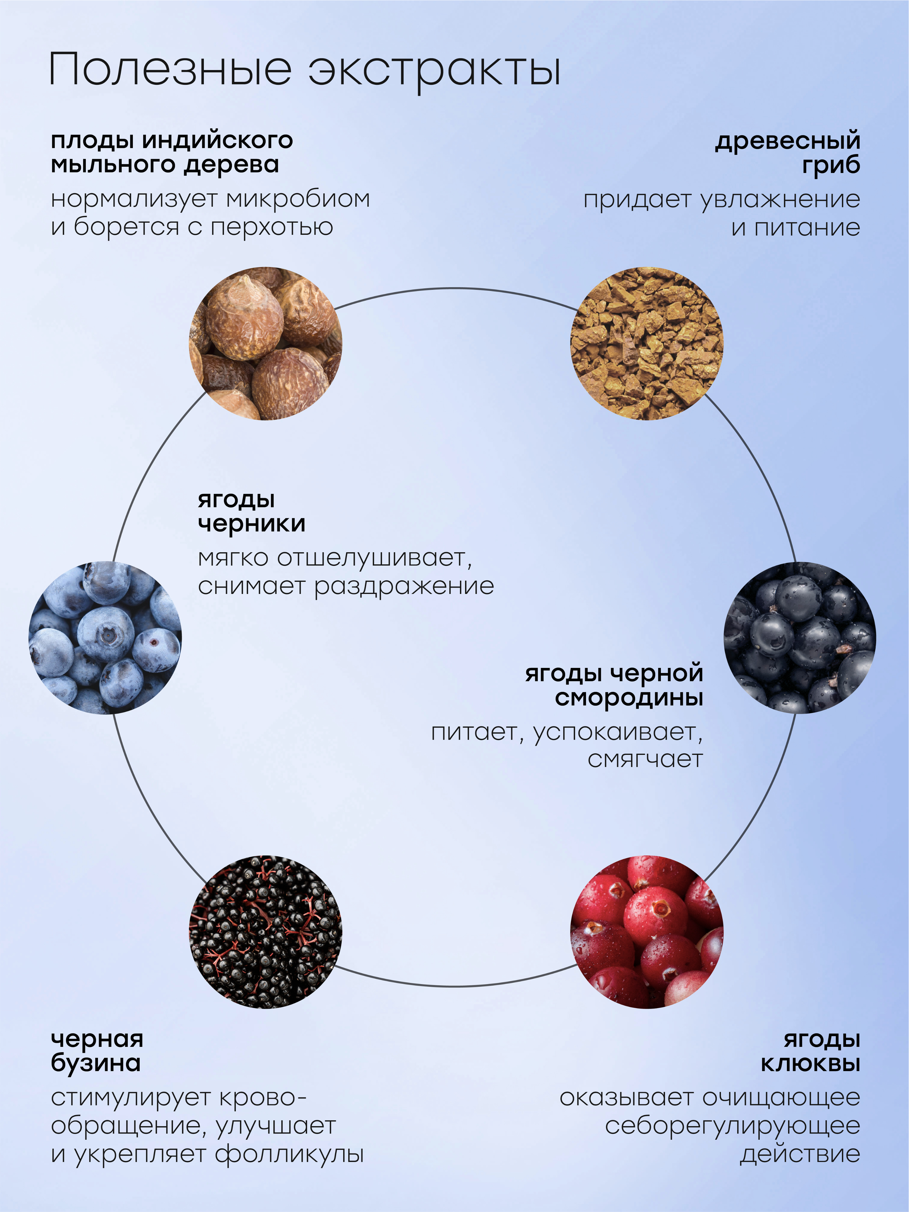 Halsa infographics — Изображение №27 — Графика, Маркетинг на Dprofile