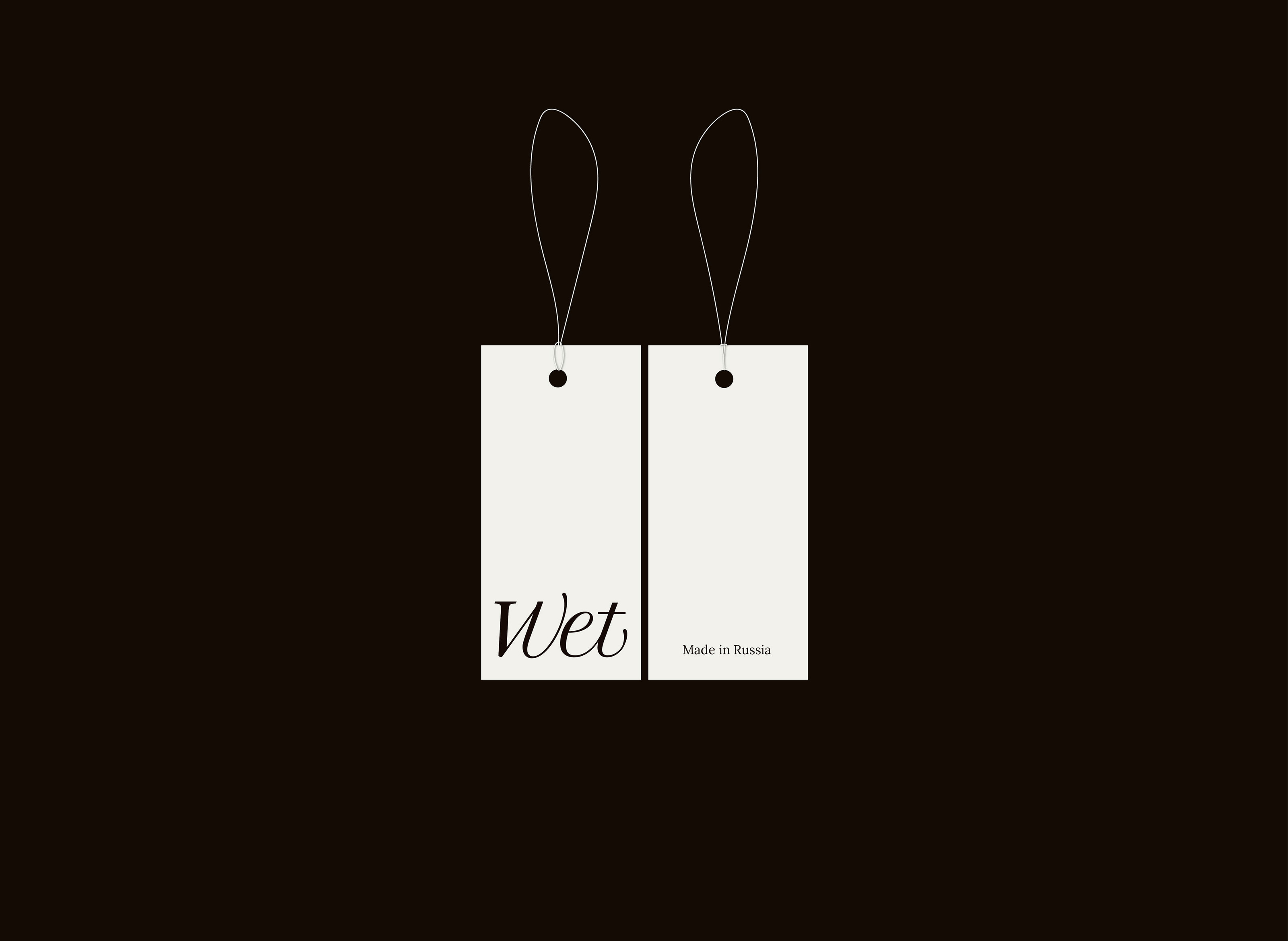 identity - underwear \ фирменный стиль–нижнее белье — Изображение №4 — Брендинг на Dprofile