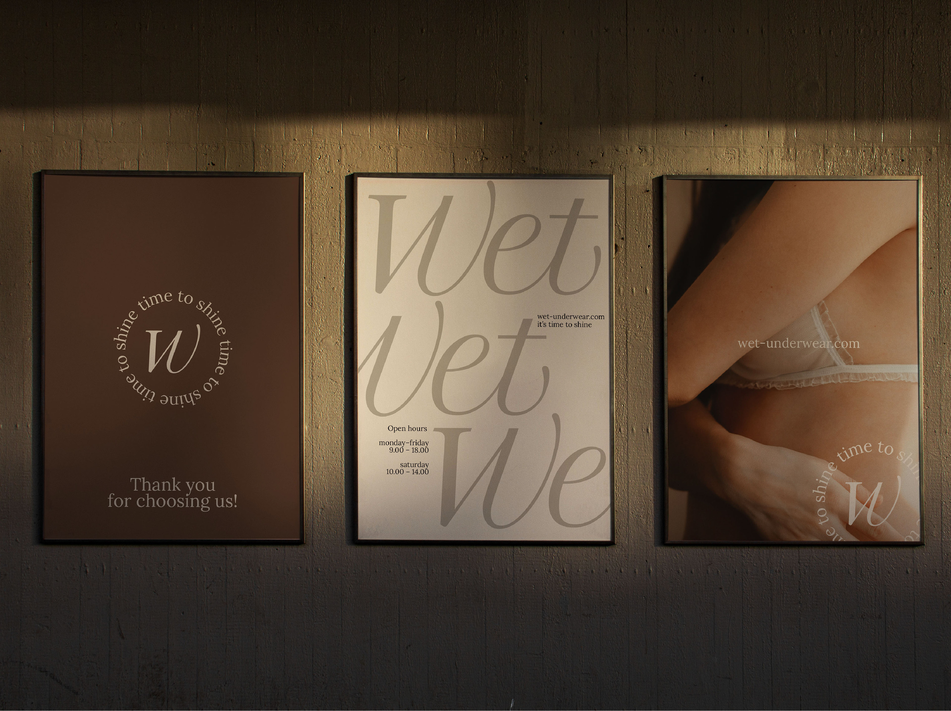 identity - underwear \ фирменный стиль–нижнее белье — Изображение №9 — Брендинг на Dprofile