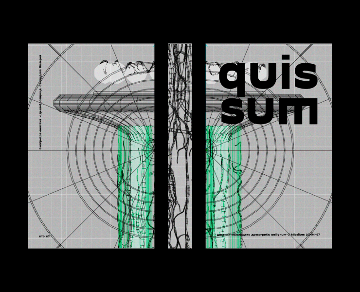 Книга «Quis sum» — Графика, 3D на Dprofile