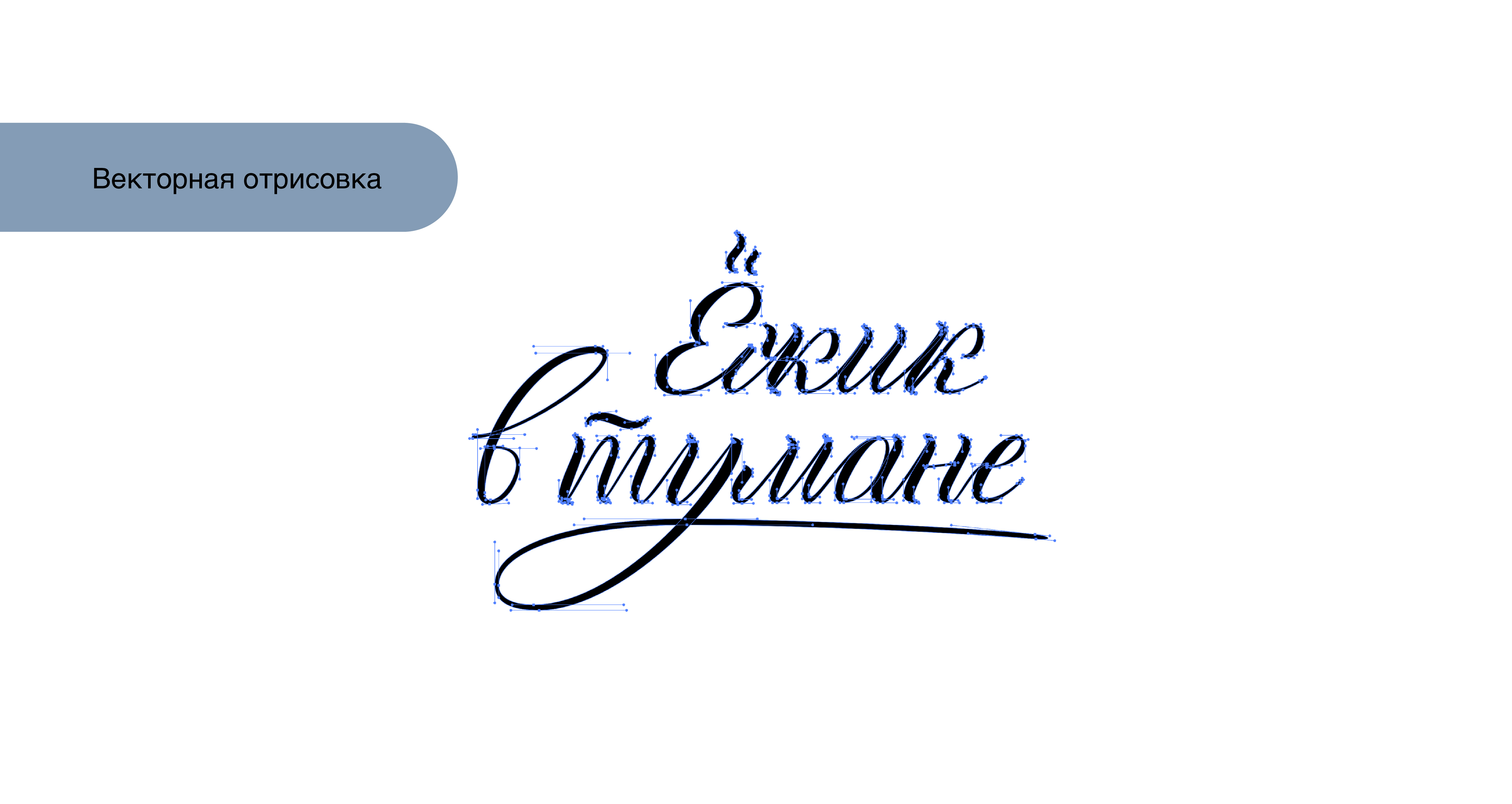 Леттеринг «Ёжик в тумане» — Изображение №3 — Брендинг, Графика на Dprofile