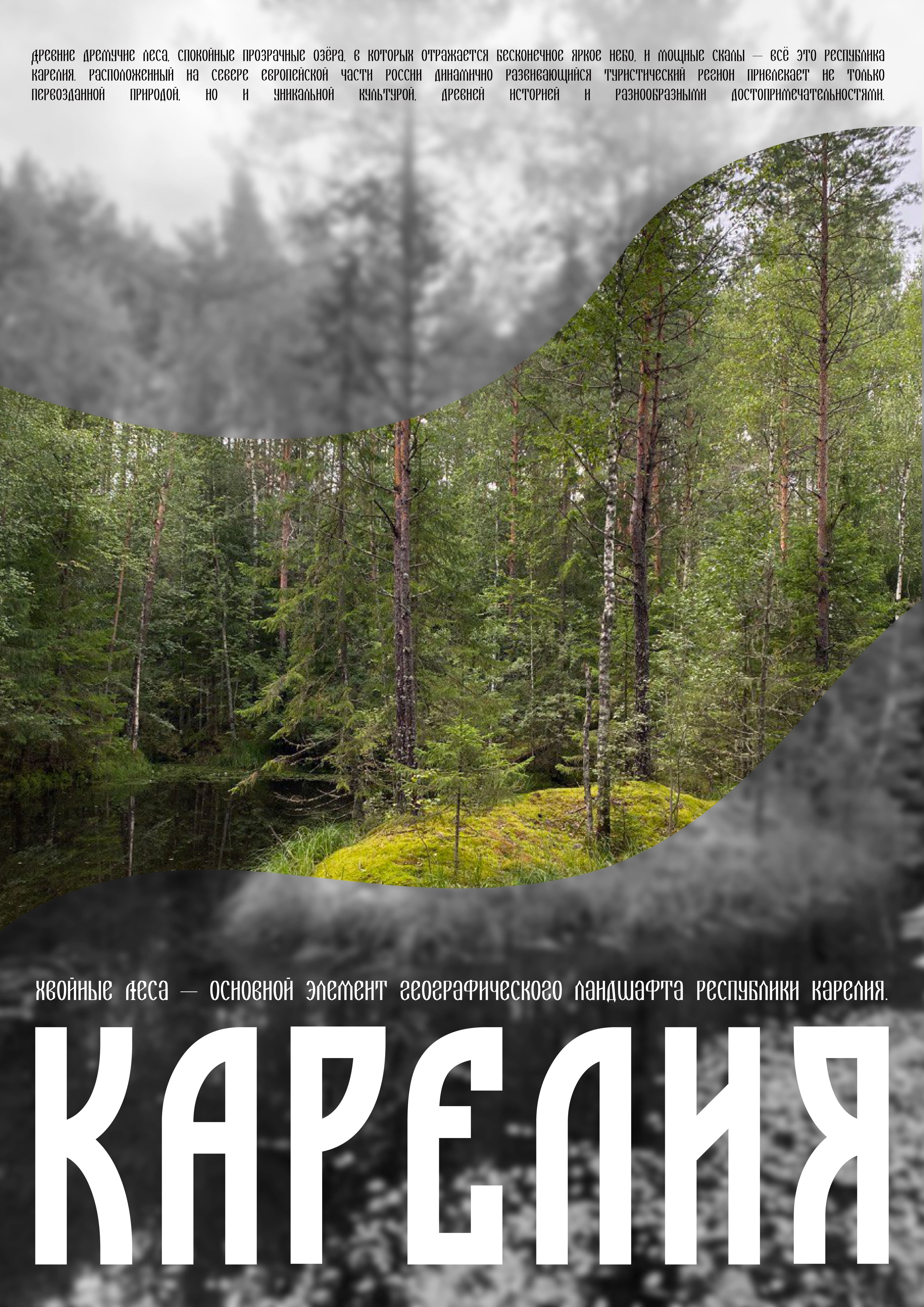 Плакаты о Карелии — Изображение №4 — Графика на Dprofile