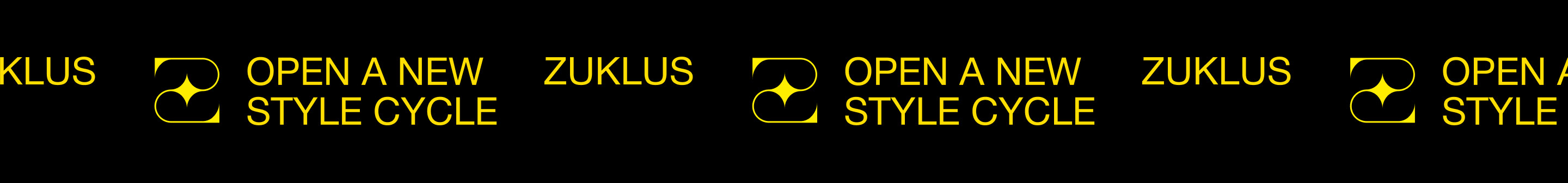 ZYKLUS — clothing branding & фирменный стиль — Изображение №2 — Брендинг на Dprofile