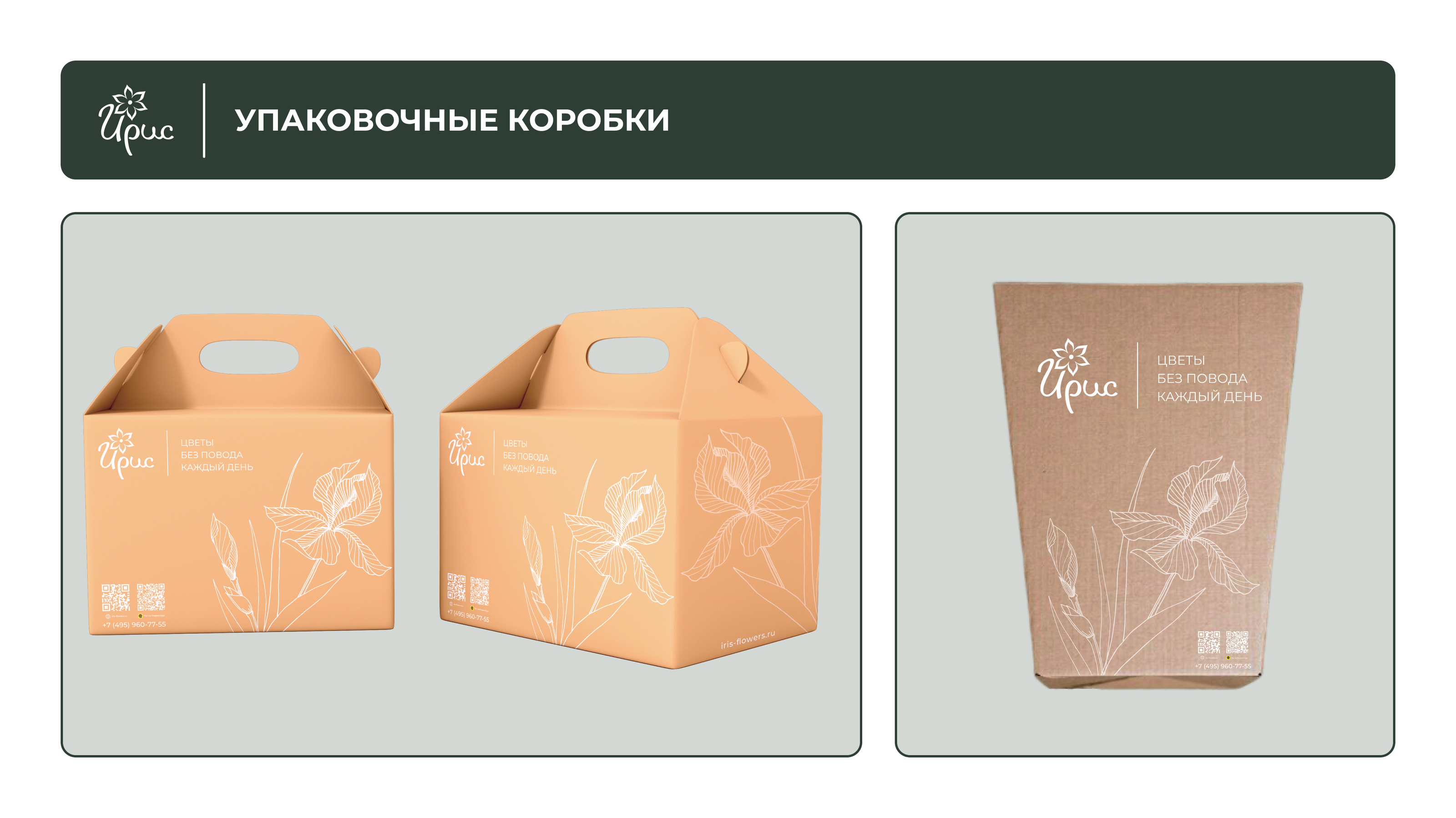 Ребрендинг упаковочных материалов — Изображение №1 — Брендинг, Графика на Dprofile