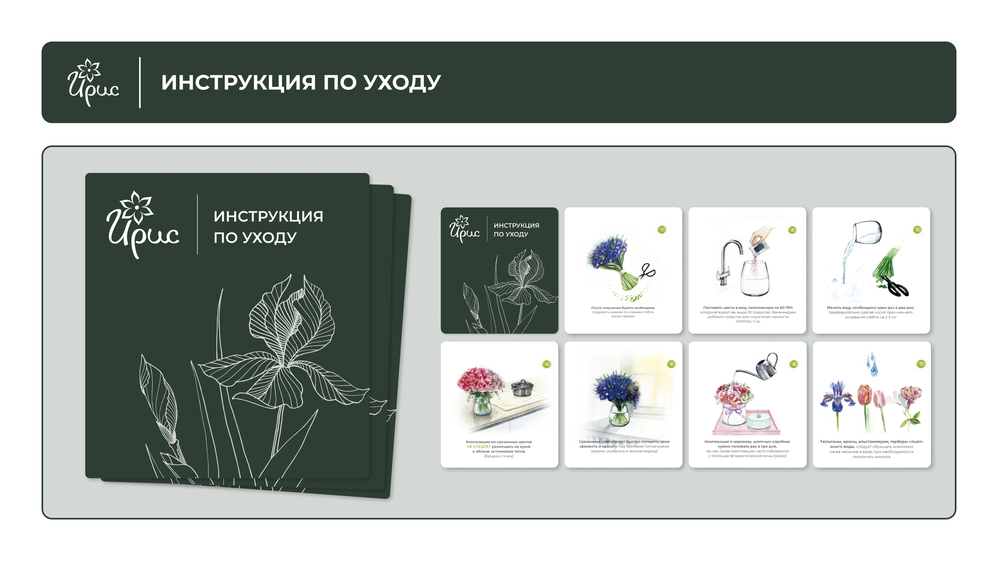 Ребрендинг упаковочных материалов — Изображение №7 — Брендинг, Графика на Dprofile