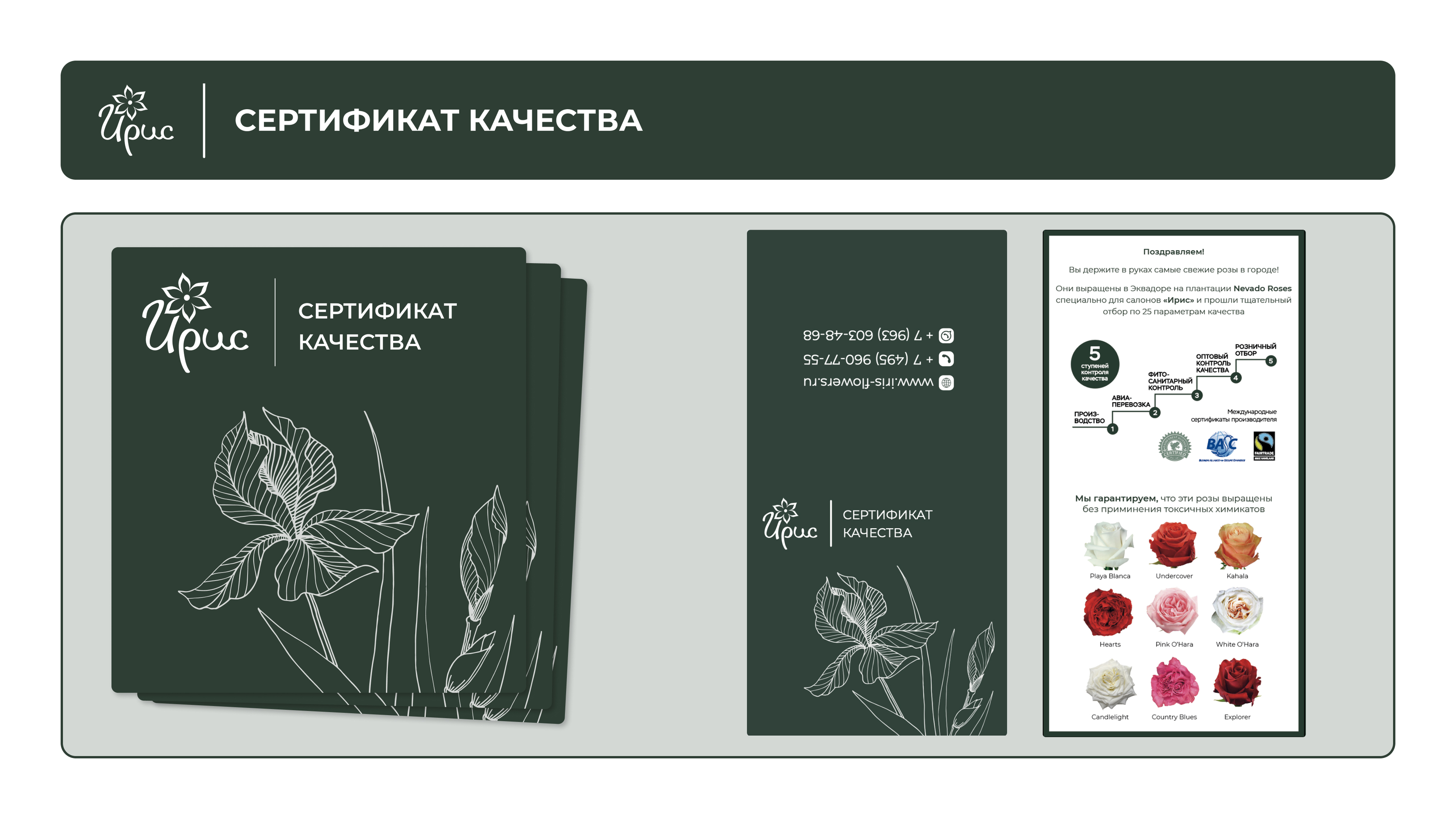 Ребрендинг упаковочных материалов — Изображение №5 — Брендинг, Графика на Dprofile