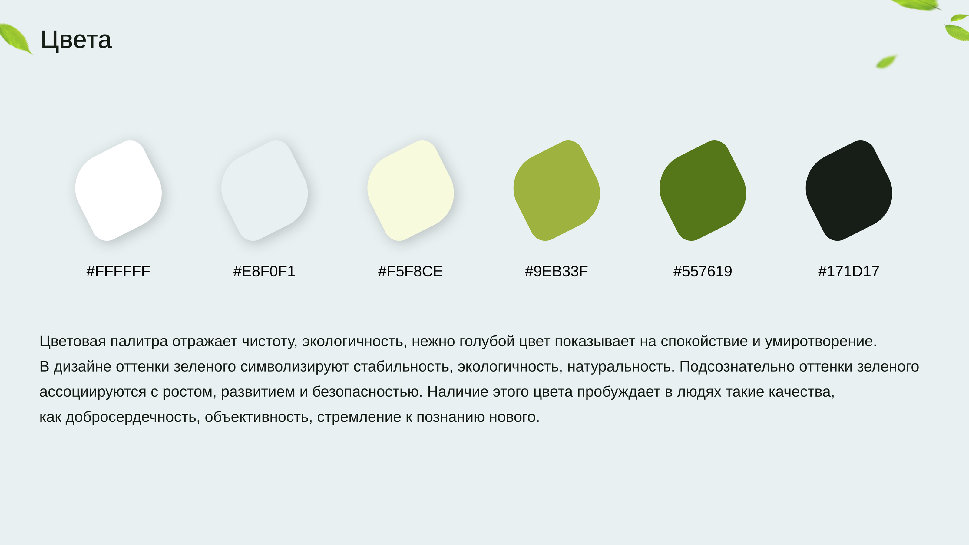 Ecolatier | Redesign Concept |E-commerce — Изображение №6 — Интерфейсы на Dprofile