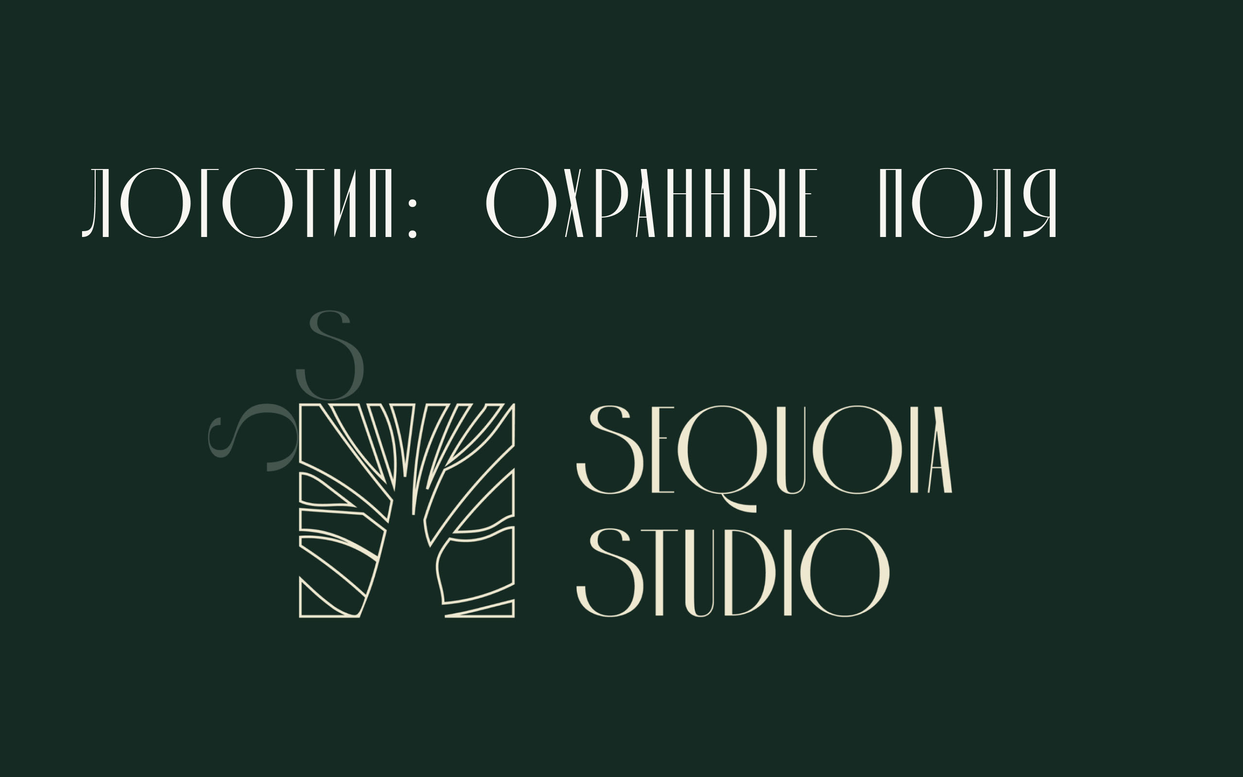 Разработка фирменного стиля для «Sequoia studio» — Изображение №9 — Интерфейсы, Брендинг на Dprofile