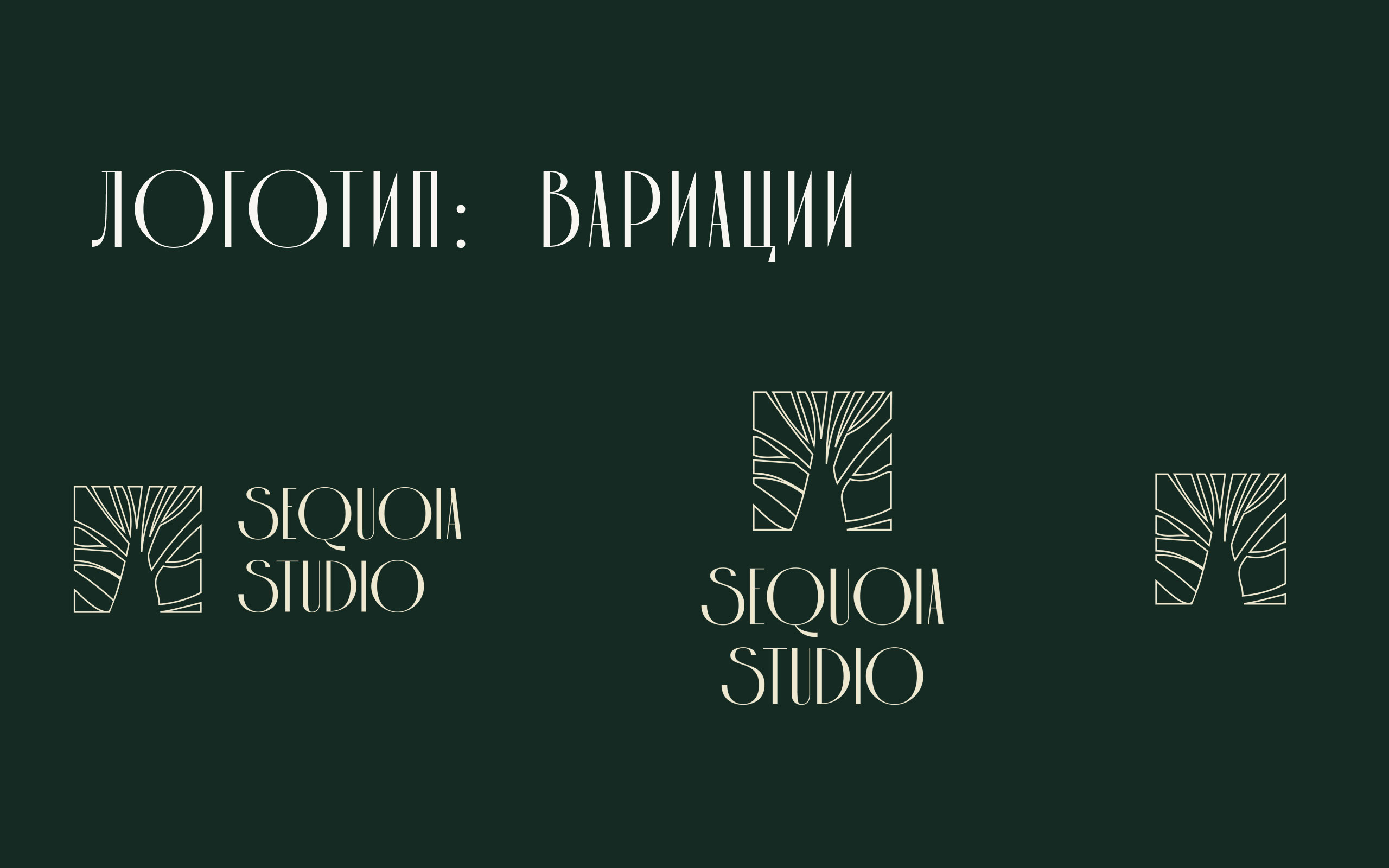 Разработка фирменного стиля для «Sequoia studio» — Изображение №10 — Интерфейсы, Брендинг на Dprofile