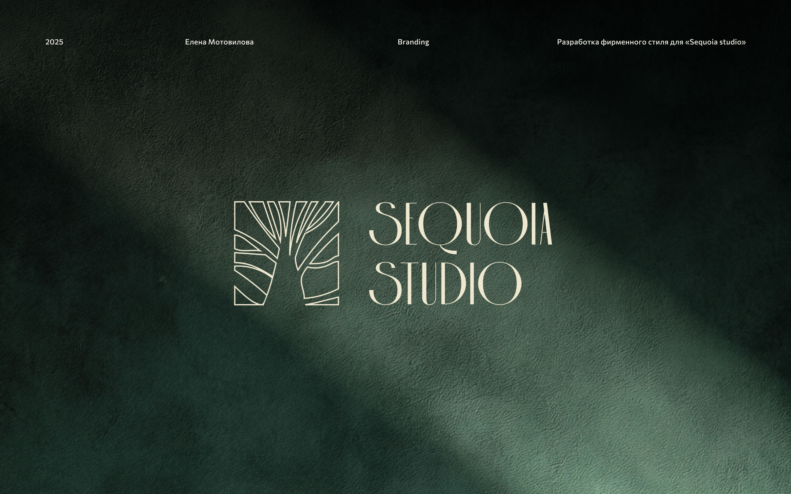Разработка фирменного стиля для «Sequoia studio» — Изображение №1 — Интерфейсы, Брендинг на Dprofile