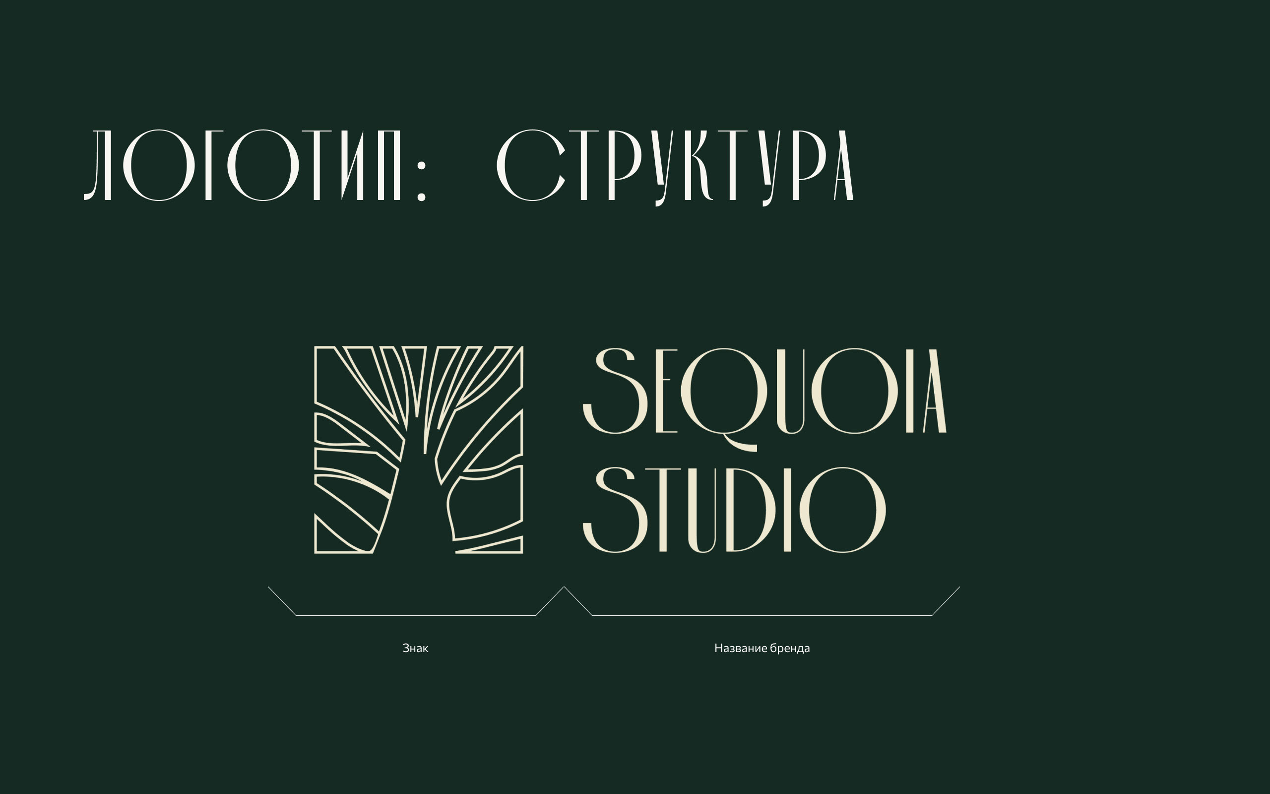Разработка фирменного стиля для «Sequoia studio» — Изображение №8 — Интерфейсы, Брендинг на Dprofile