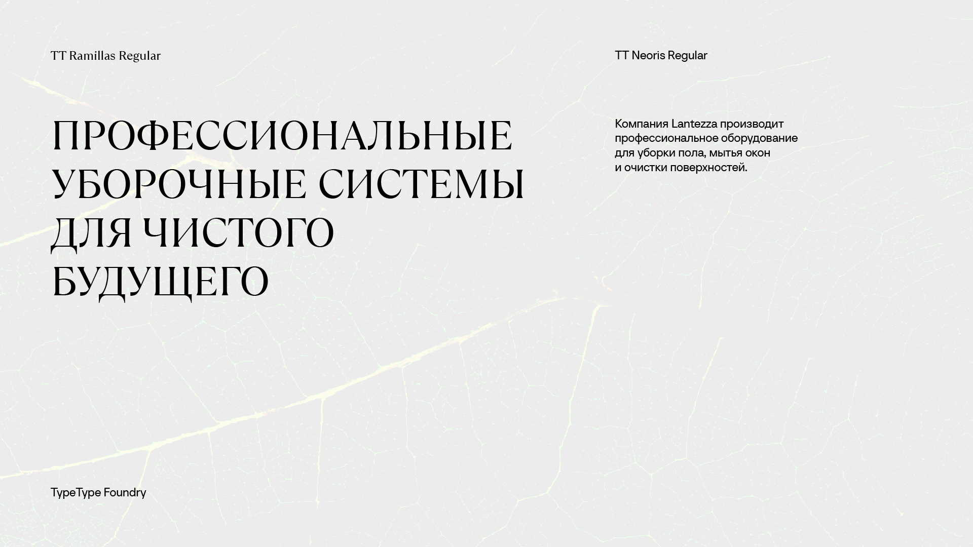 Lantezza — Изображение №8 — Брендинг, Маркетинг на Dprofile