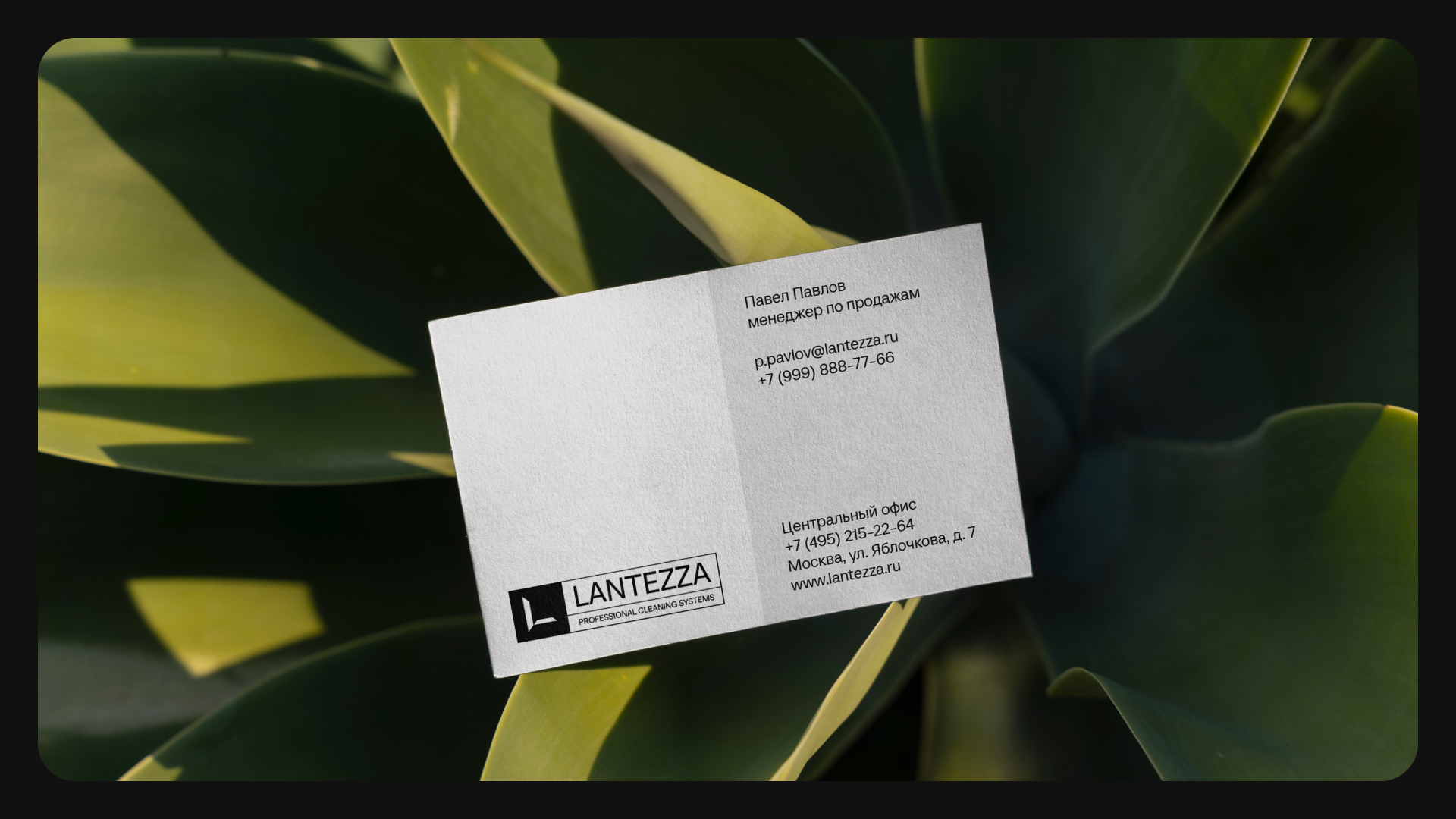 Lantezza — Изображение №10 — Брендинг, Маркетинг на Dprofile