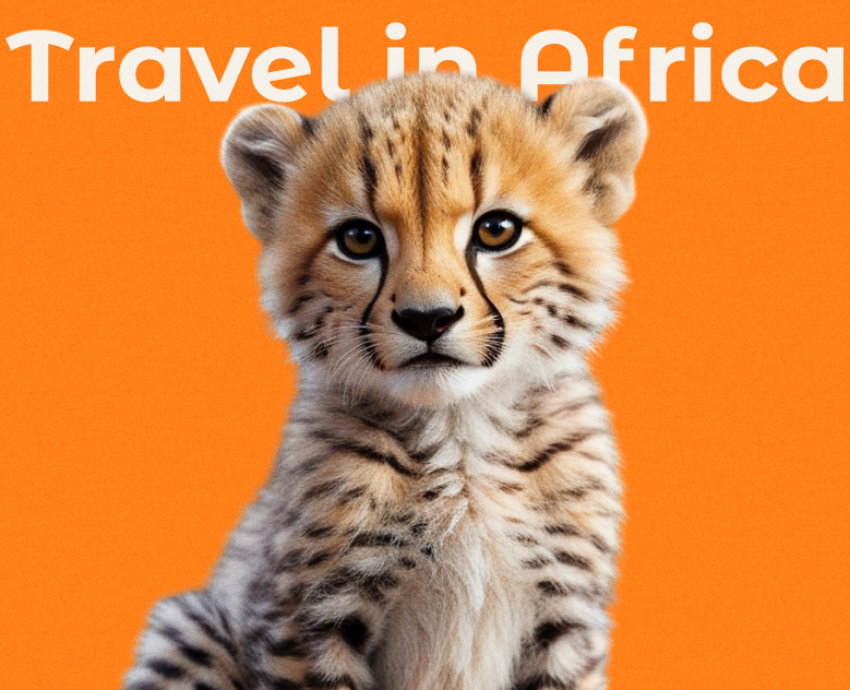 Travel in Africa на Dprofile