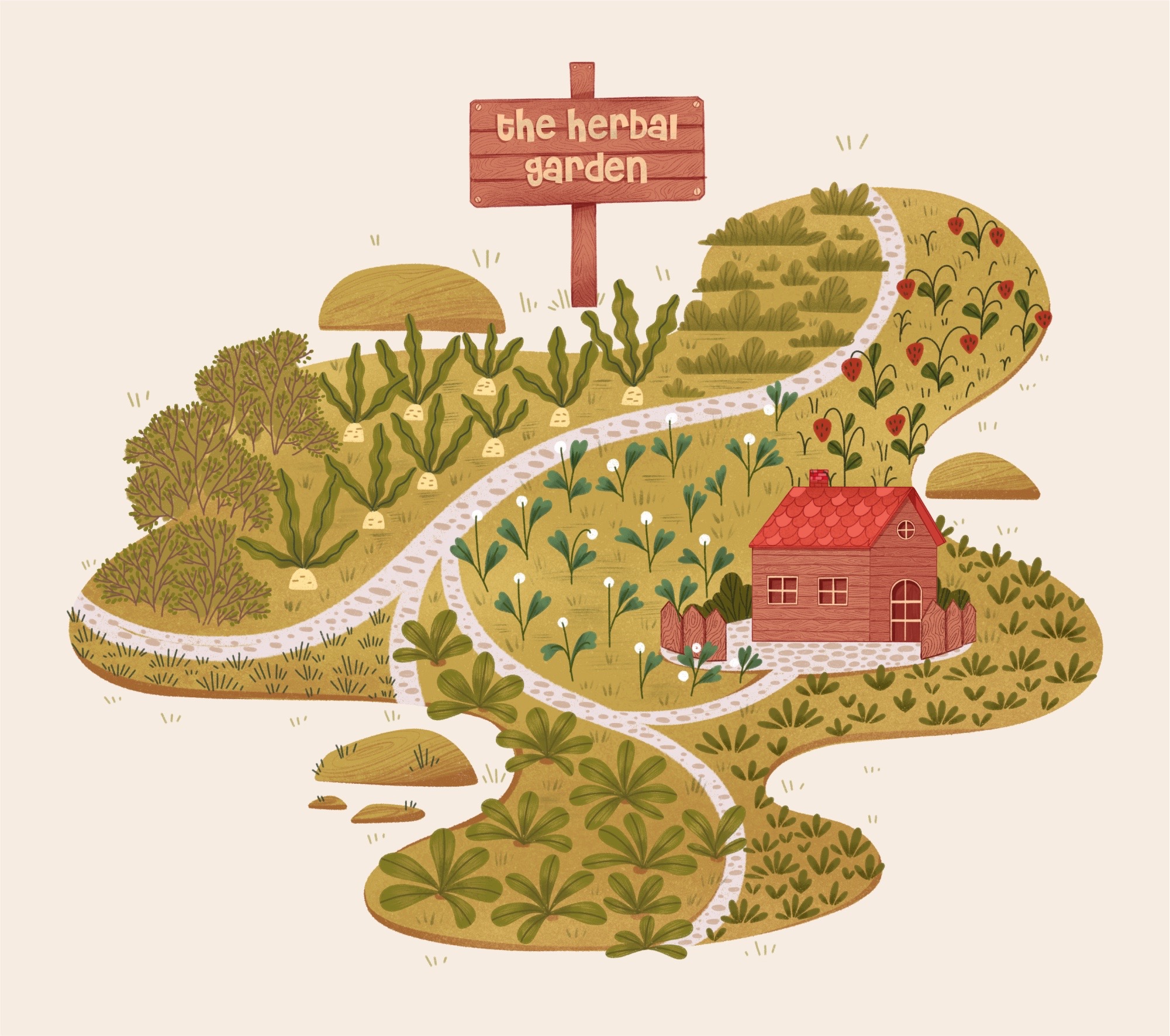 The Herbal Garden/ иллюстрации для книги «Сад трав» — Изображение №9 — Иллюстрация, Графика на Dprofile