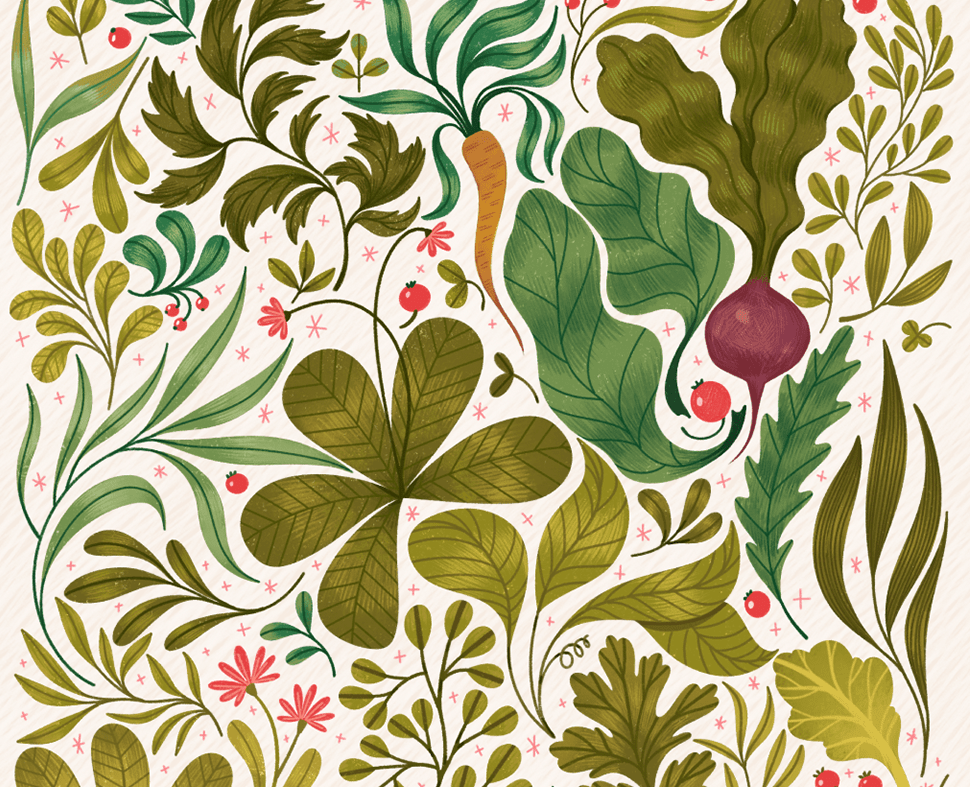 The Herbal Garden/ иллюстрации для книги «Сад трав» — Иллюстрация, Графика на Dprofile
