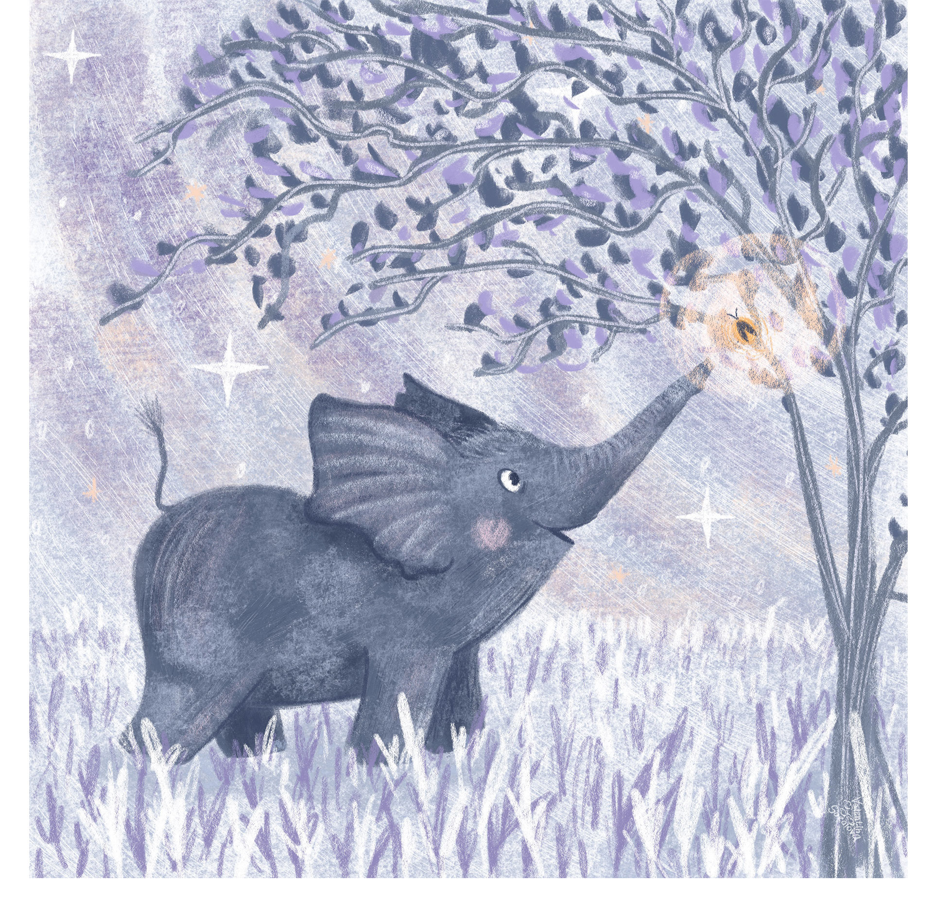 Baby Elephant — Изображение №2 — Иллюстрация на Dprofile