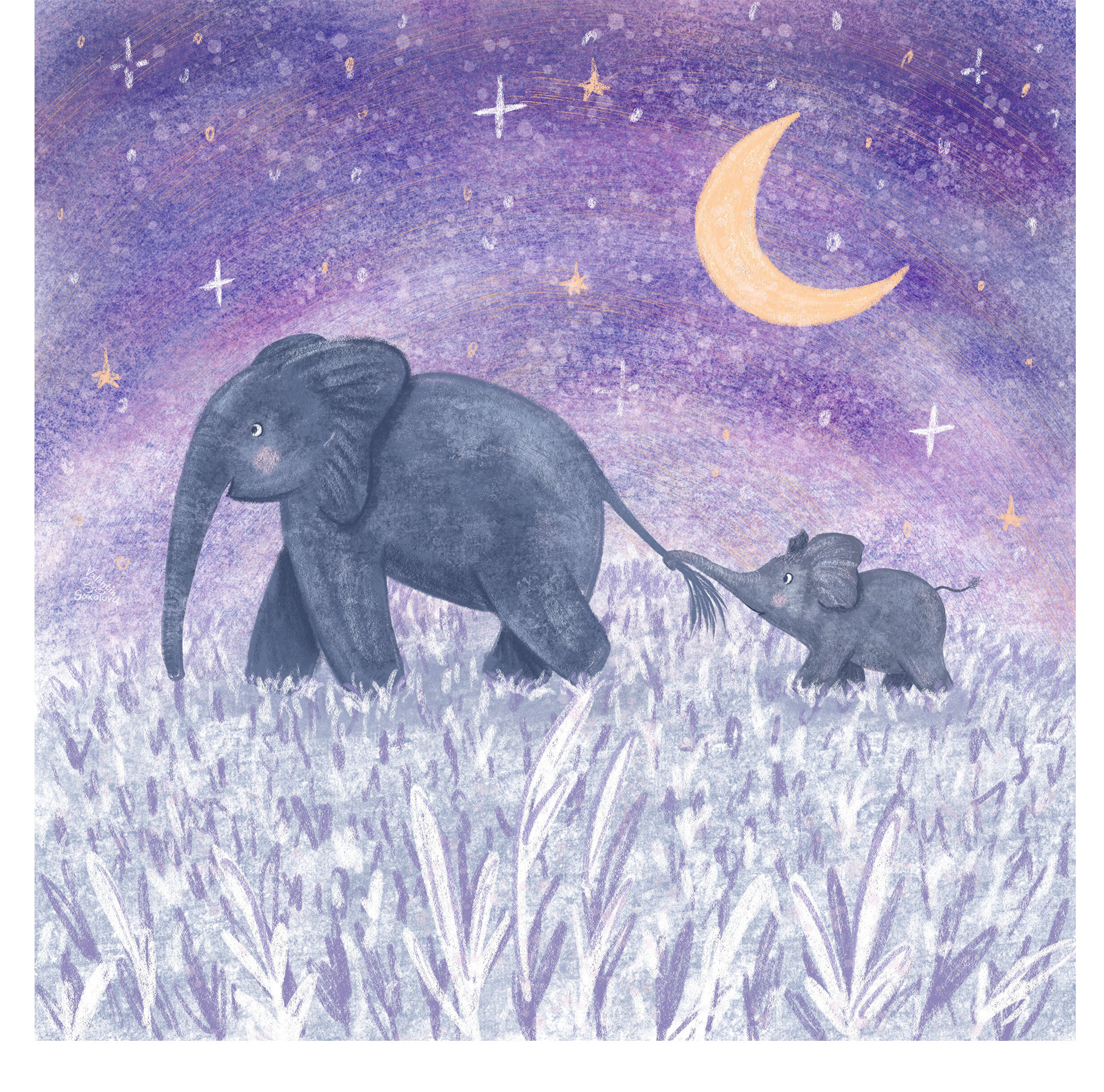 Baby Elephant — Изображение №3 — Иллюстрация на Dprofile