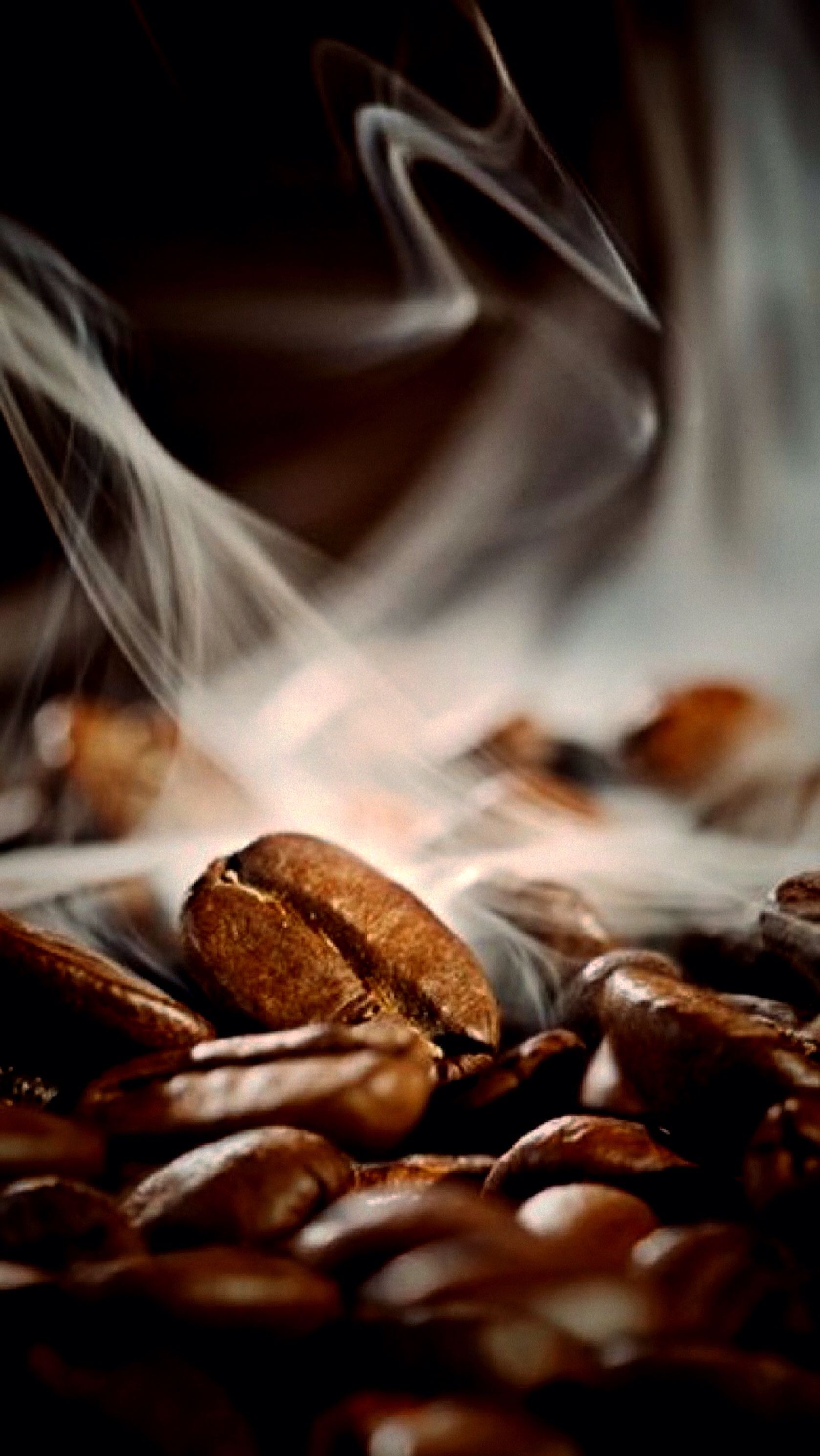 Sofffa — Изображение №9 — Брендинг на Dprofile