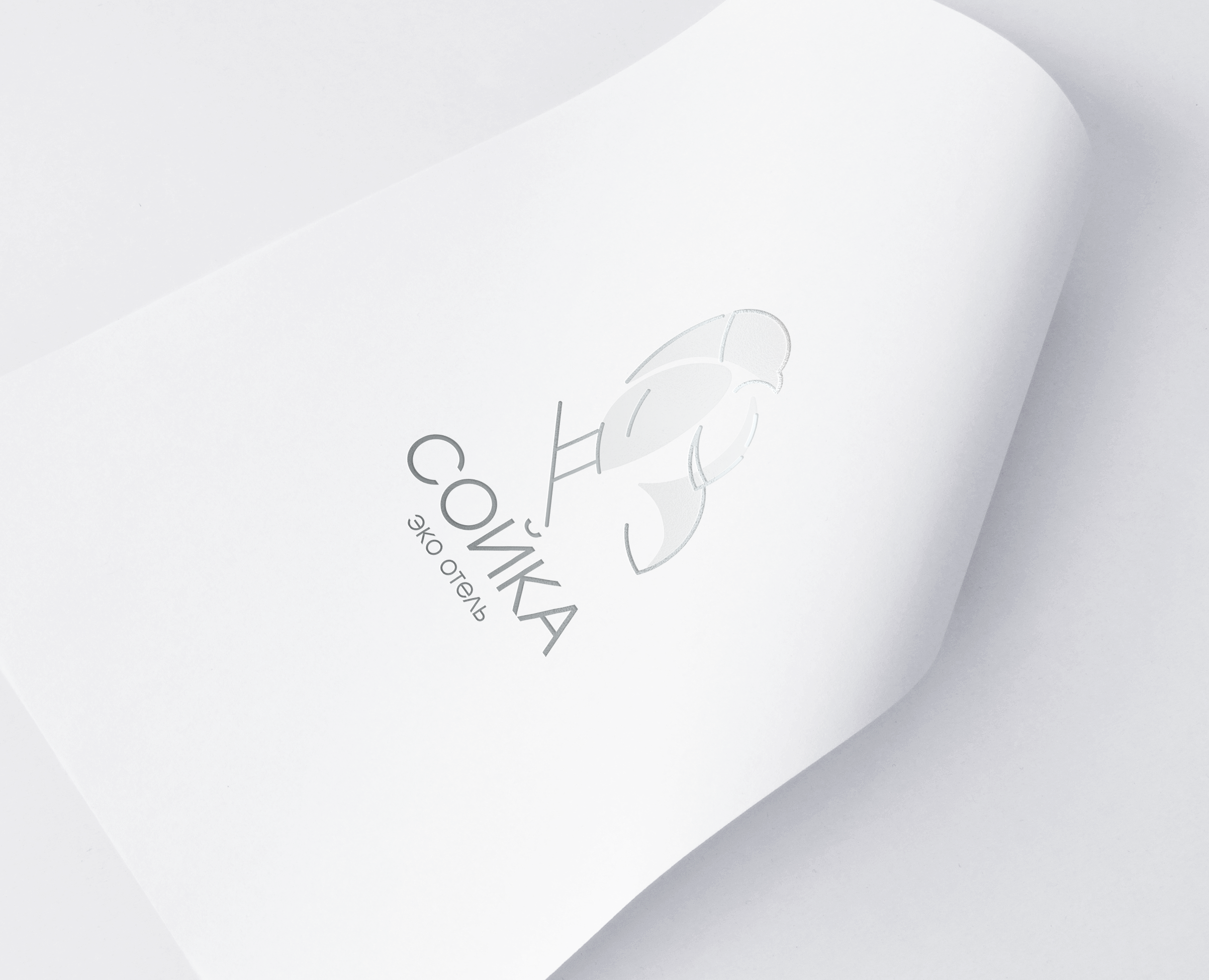 Фирменный стиль для эко отеля "СОЙКА" — Брендинг на Dprofile