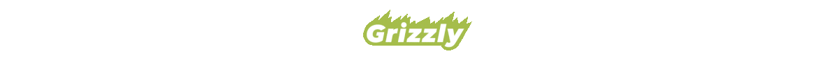 BRANDING | GRIZZLY | VI.RU — Изображение №11 — Брендинг, 3D на Dprofile
